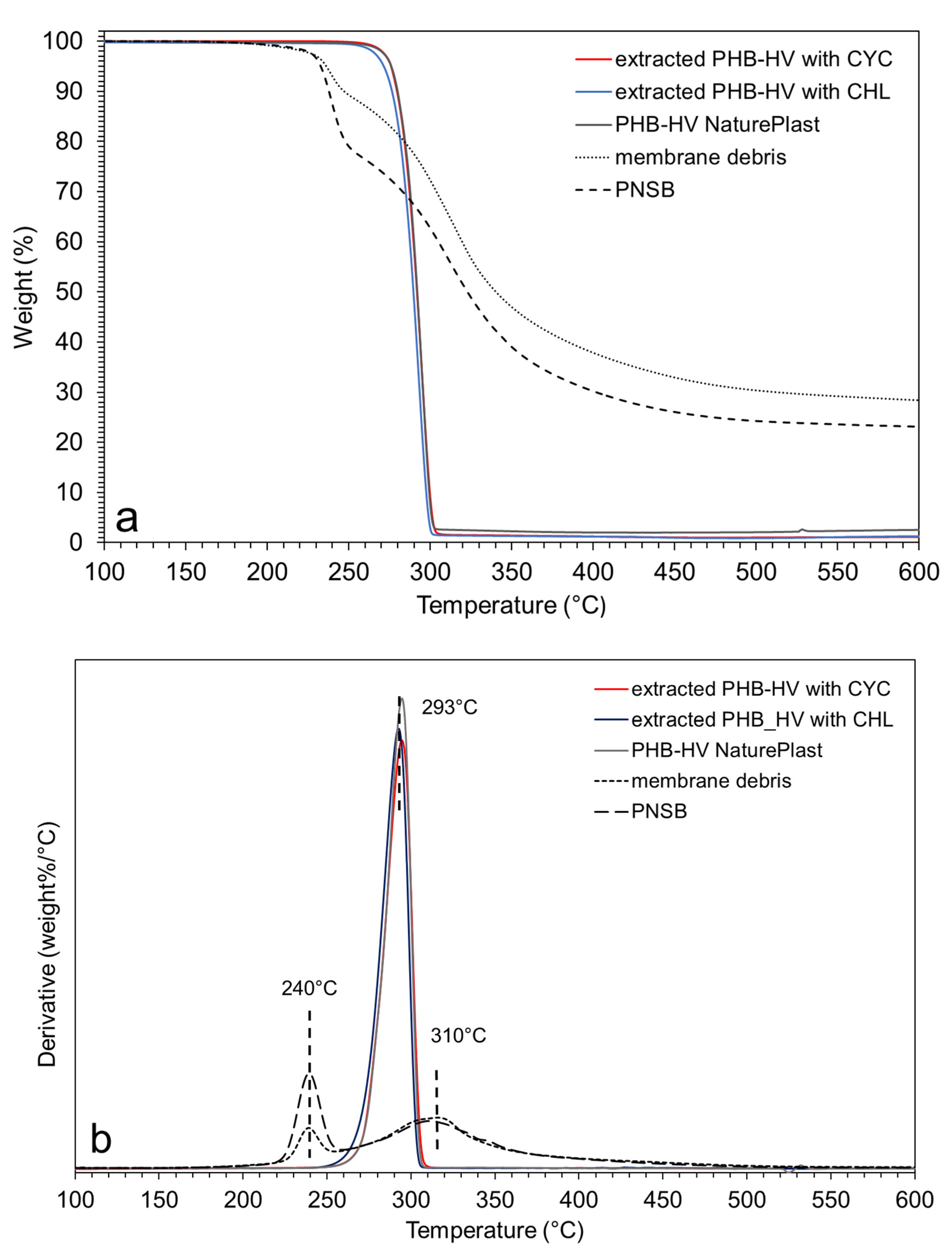 Polymers 13 04163 g004