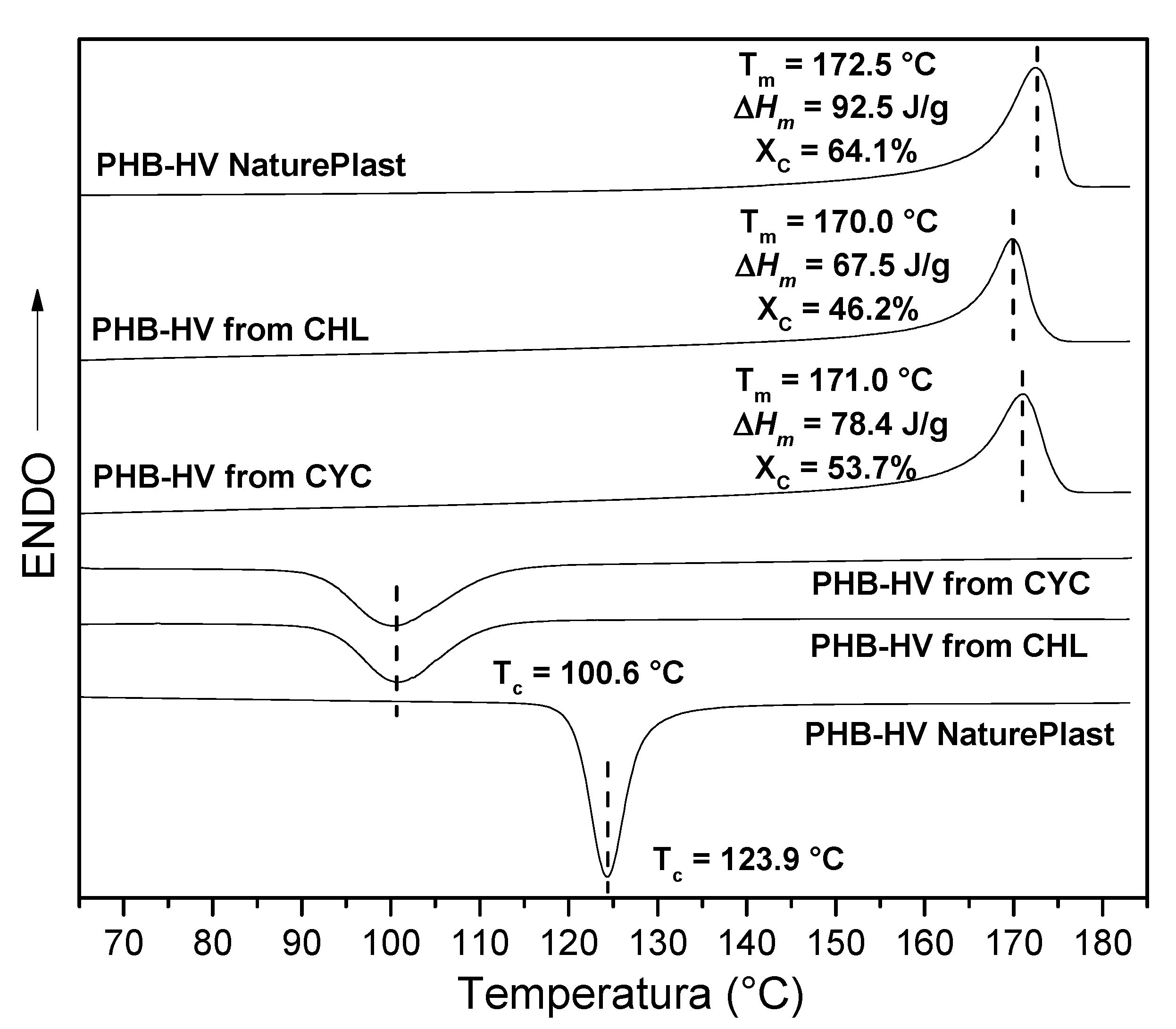 Polymers 13 04163 g006