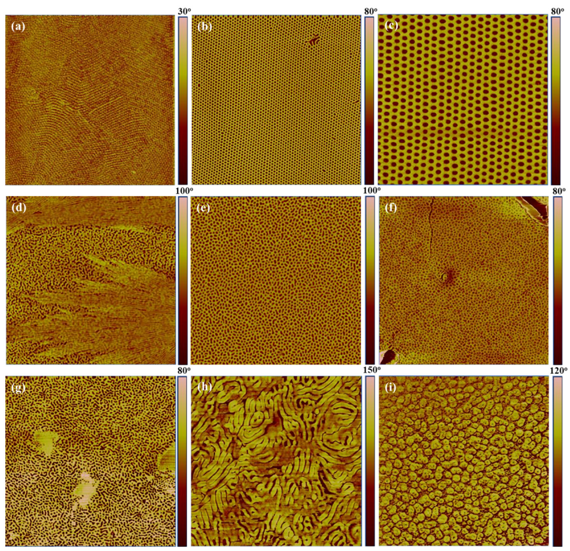 Polymers 13 04167 g004