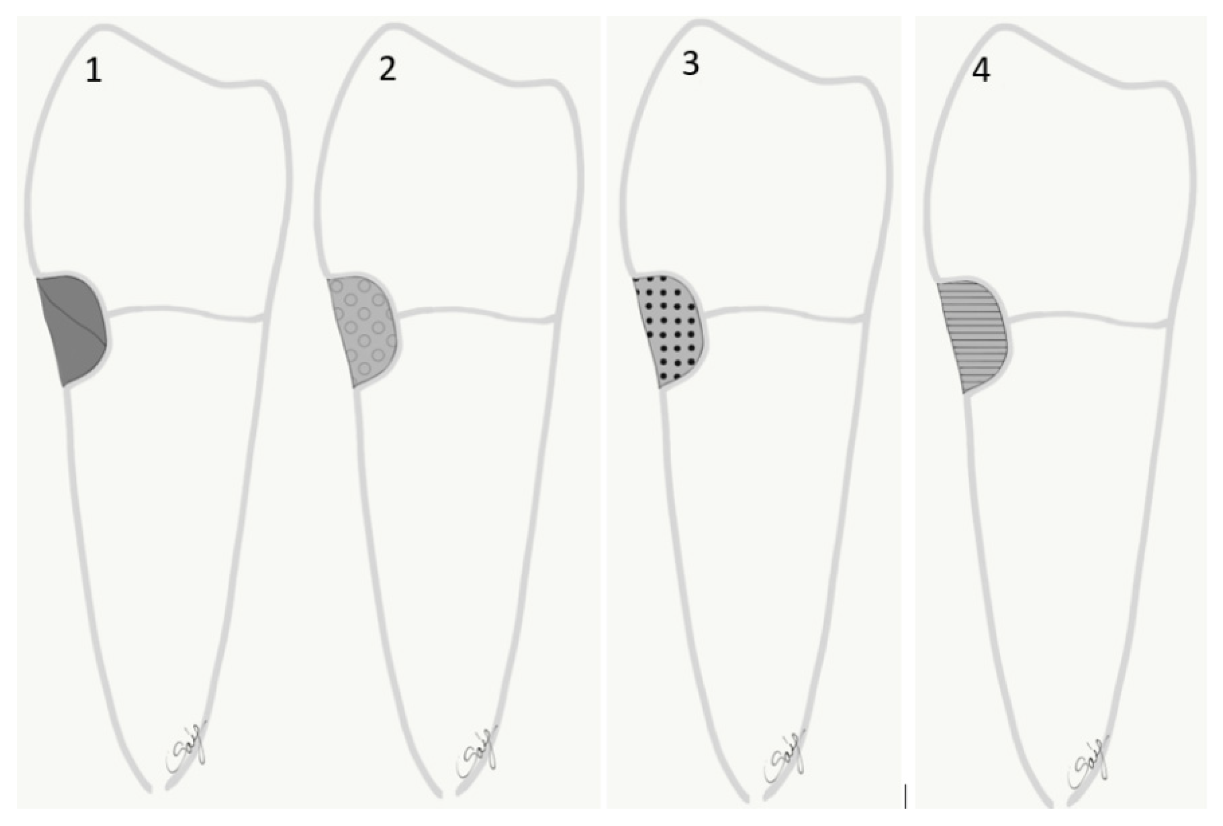 Polymers 13 04170 g001