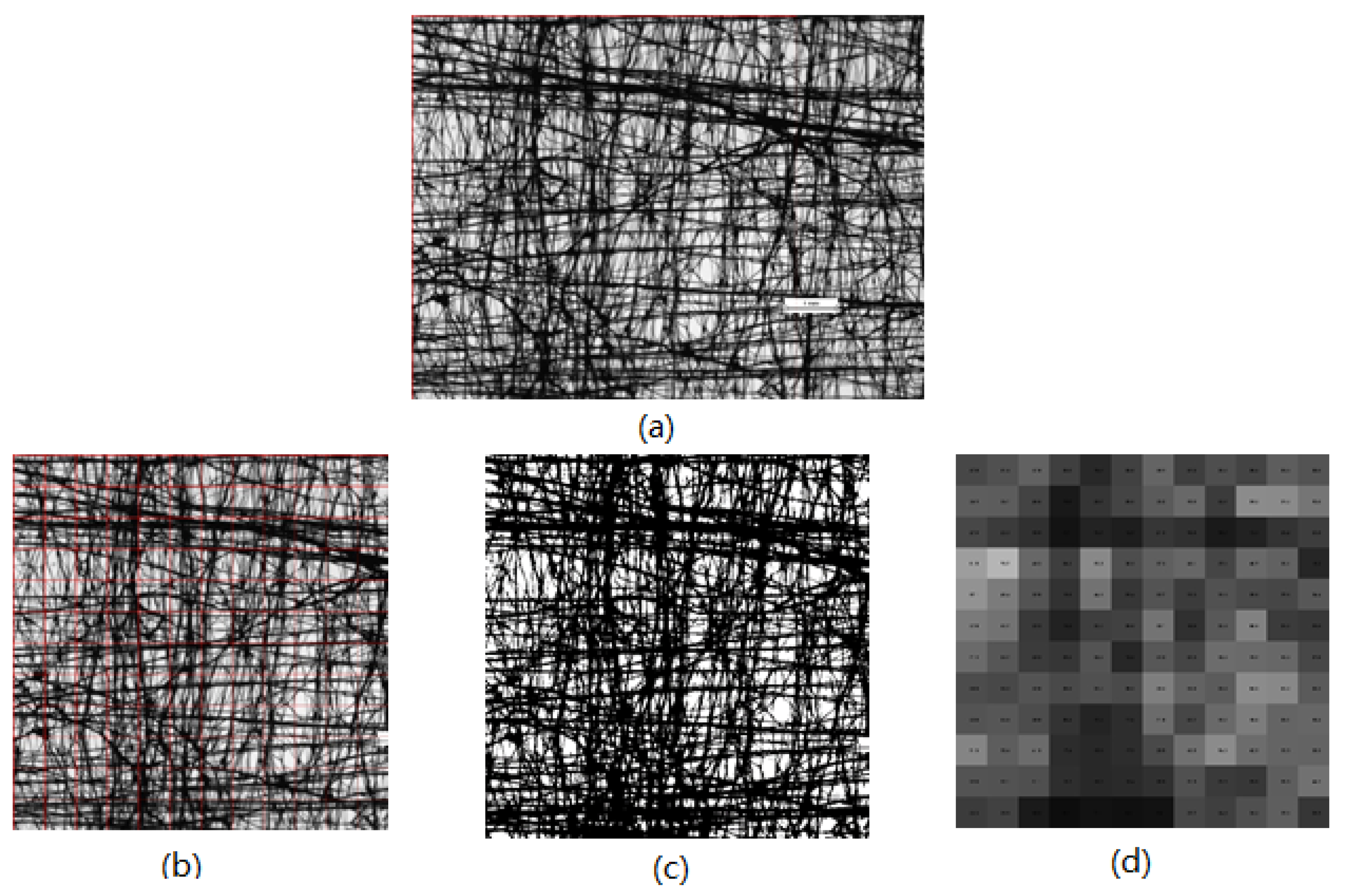 Polymers 13 04176 g003