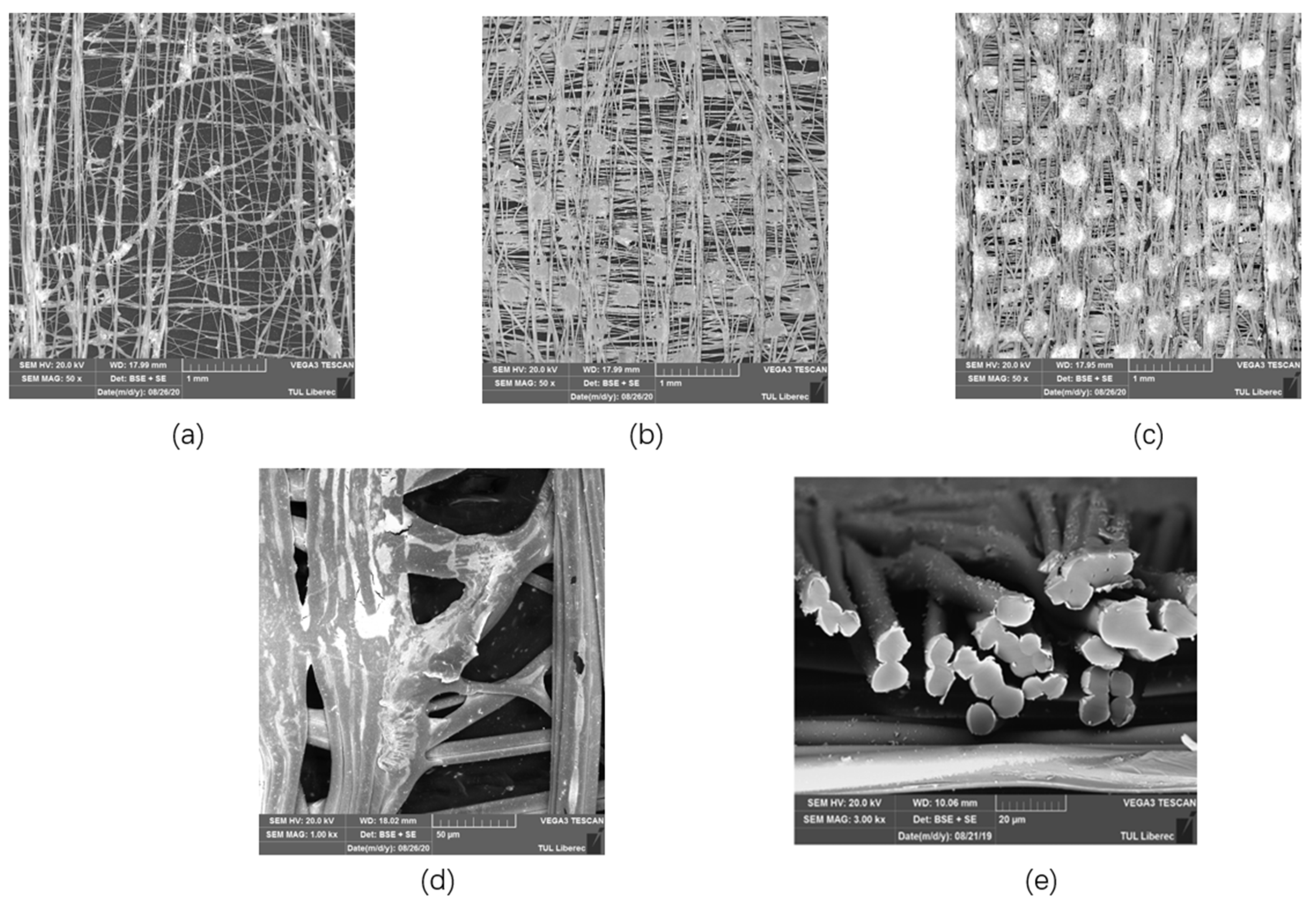 Polymers 13 04176 g004