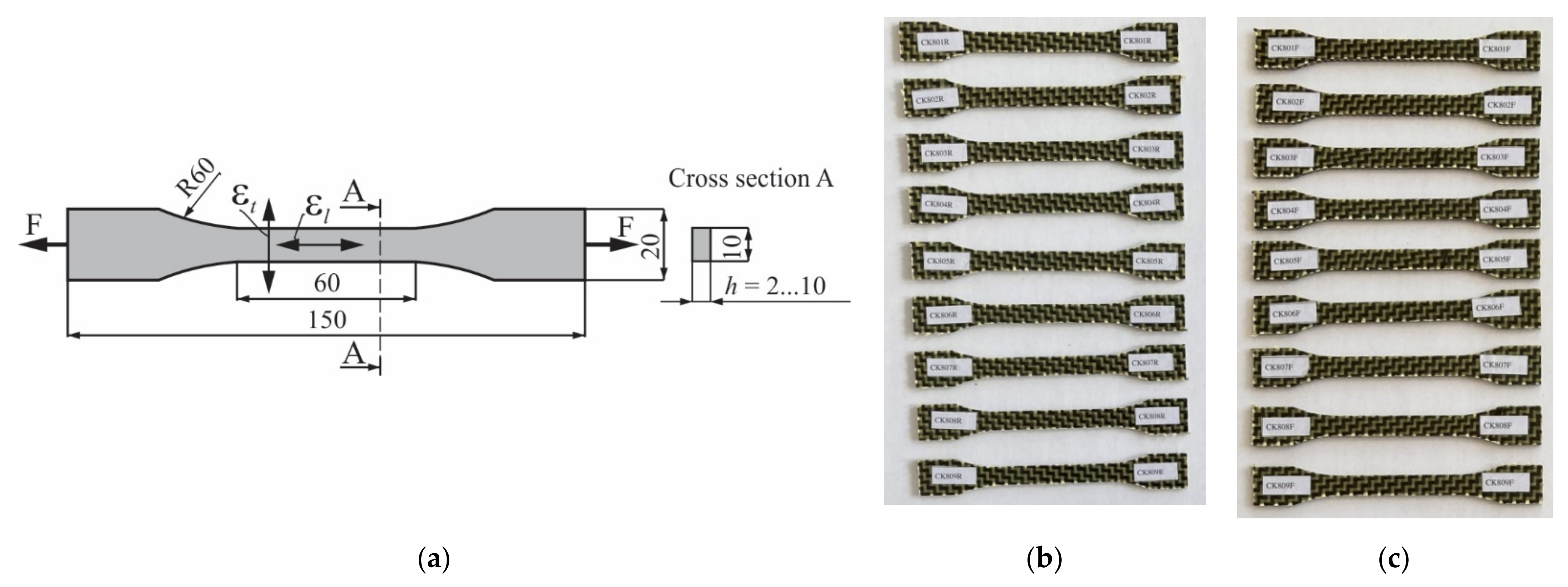 Polymers 13 04184 g002