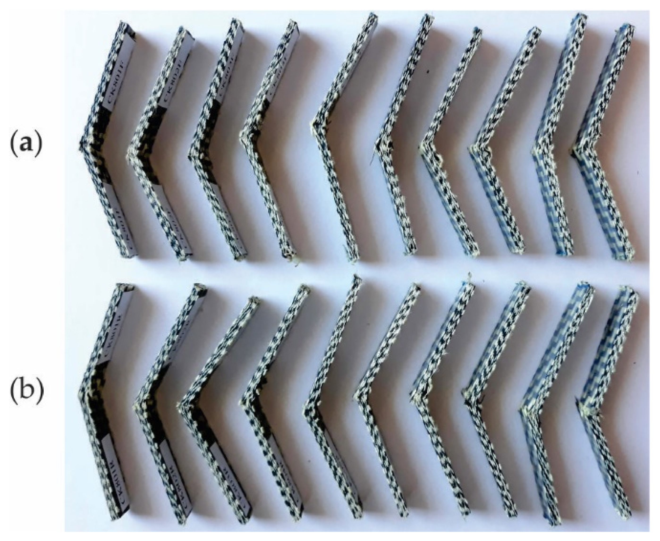 Polymers 13 04184 g012