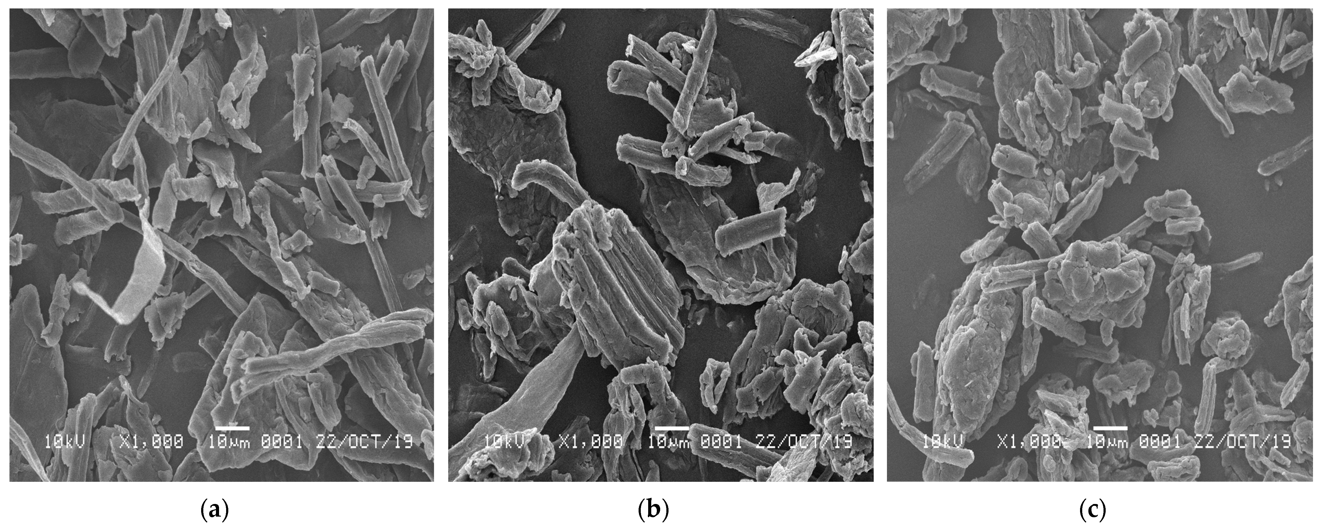 Polymers 13 04188 g004