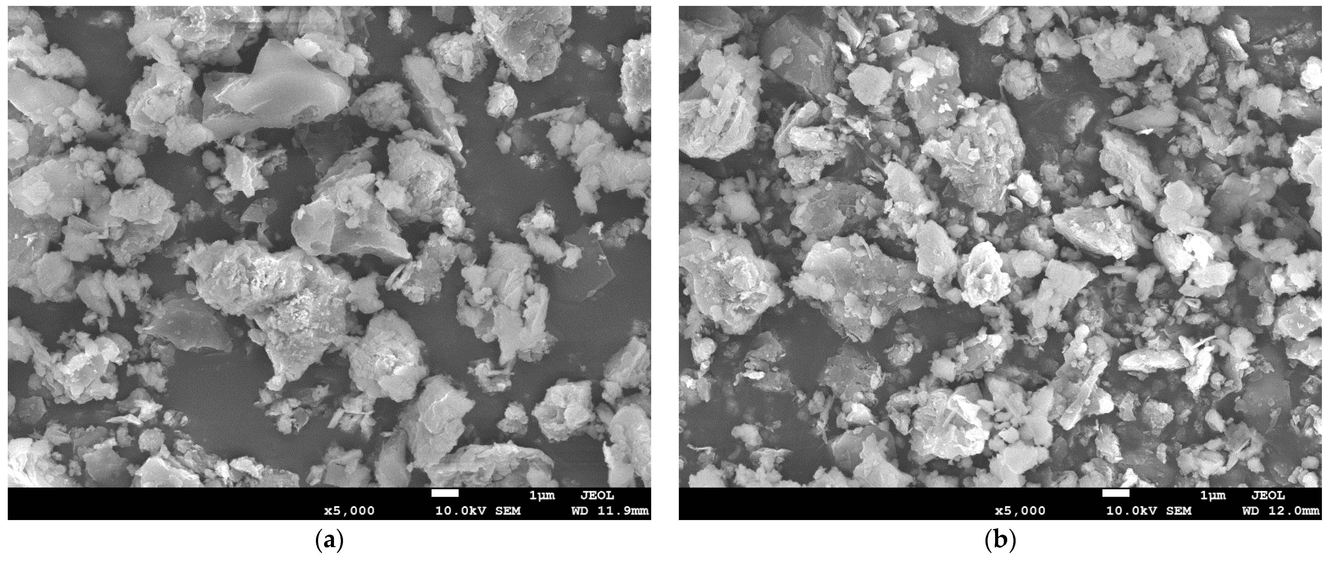 Polymers 13 04204 g004