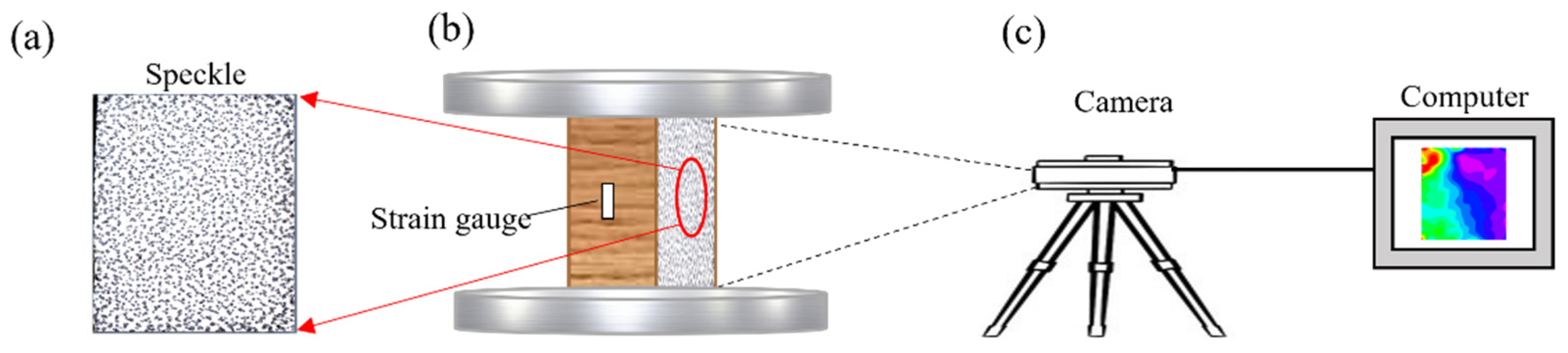 Polymers 13 04223 g003