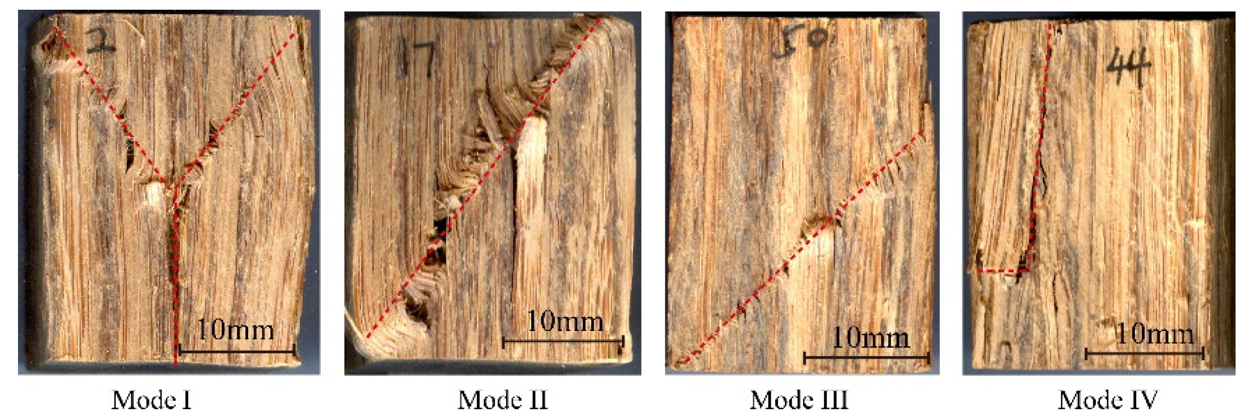 Polymers 13 04223 g006
