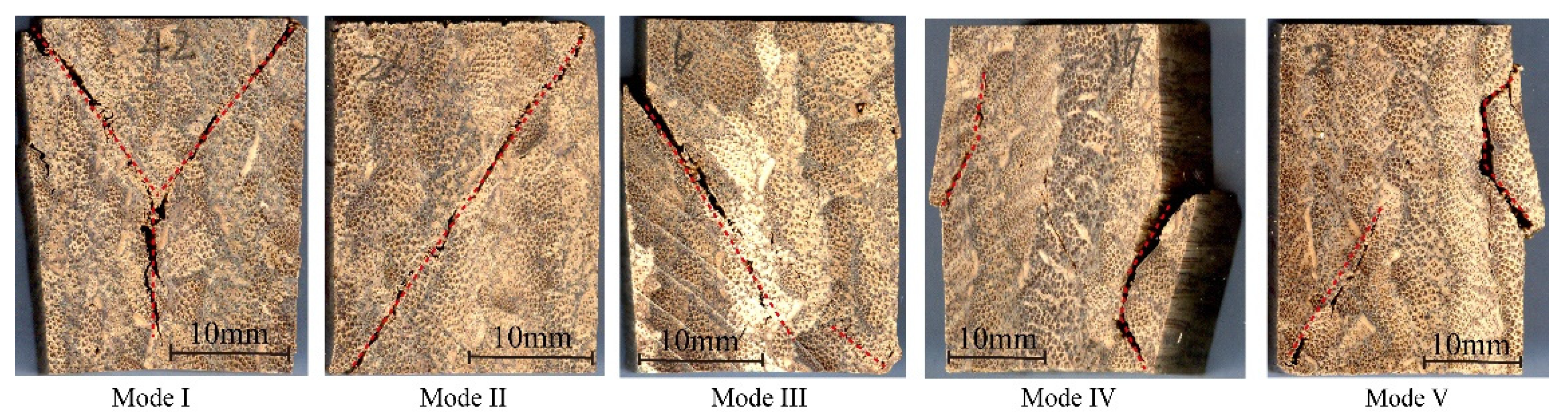 Polymers 13 04223 g007