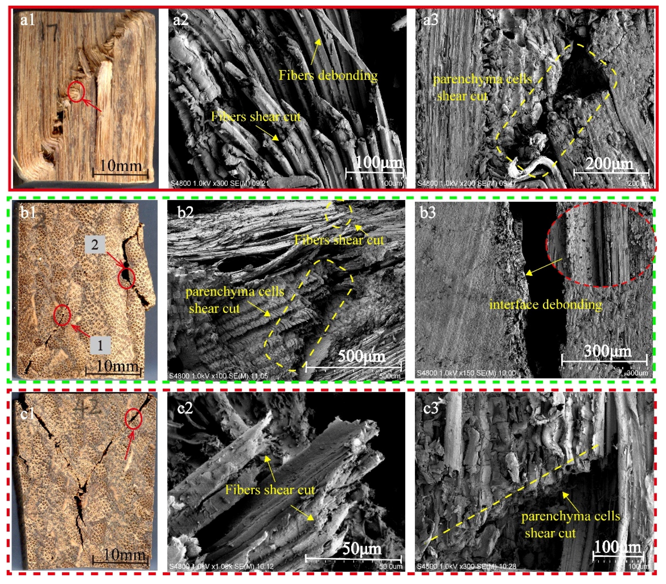 Polymers 13 04223 g009