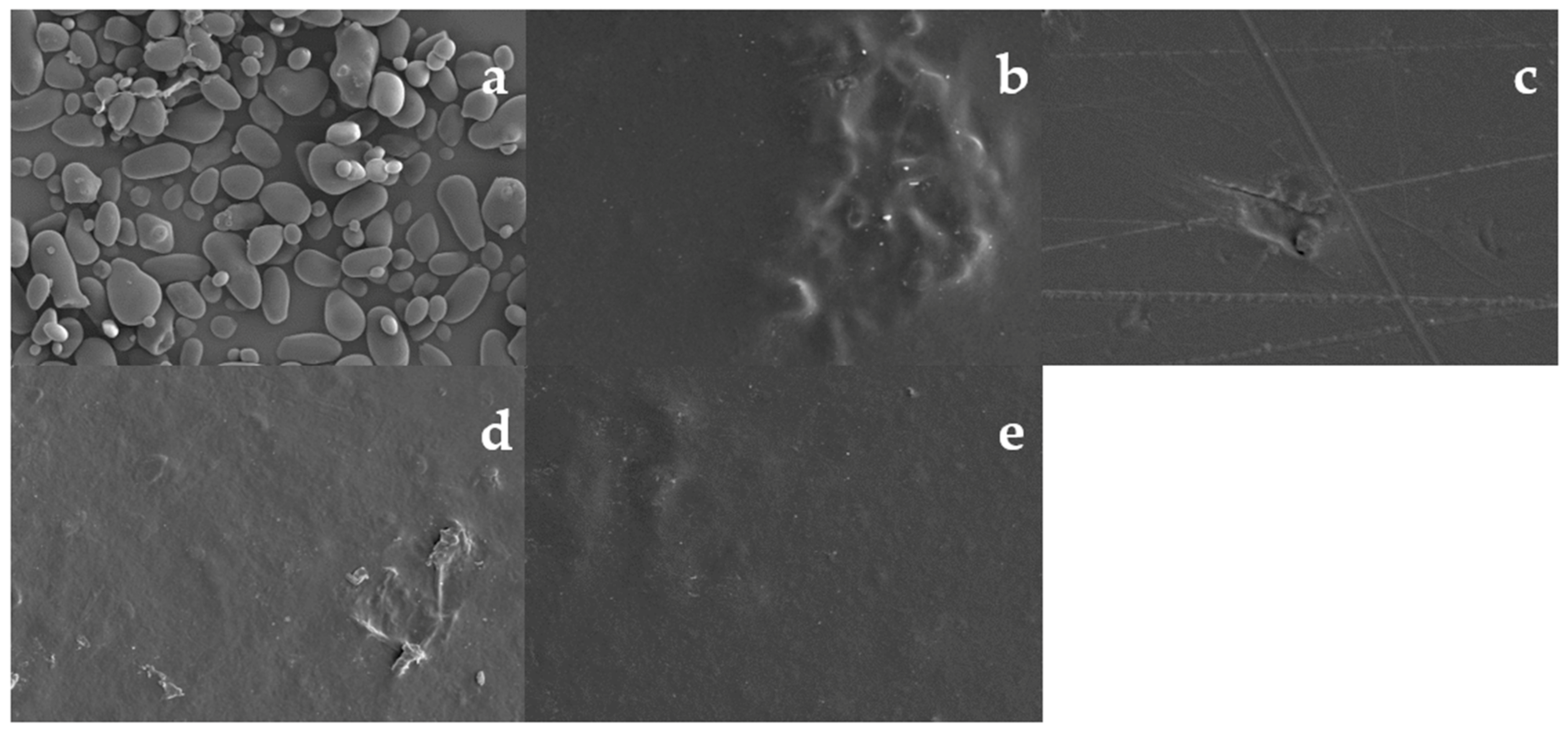 Polymers 13 04232 g002