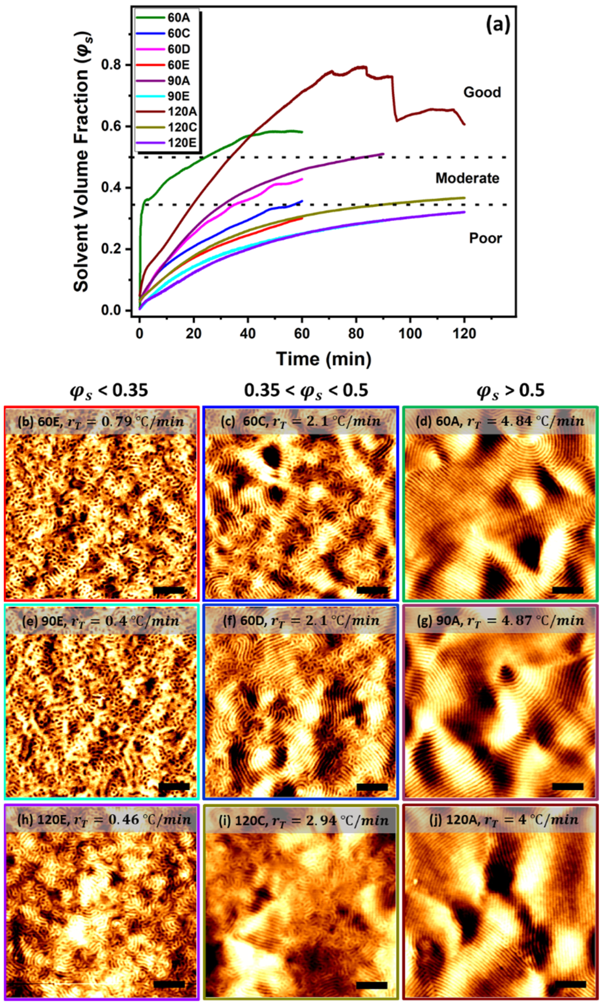 Polymers 13 04238 g004