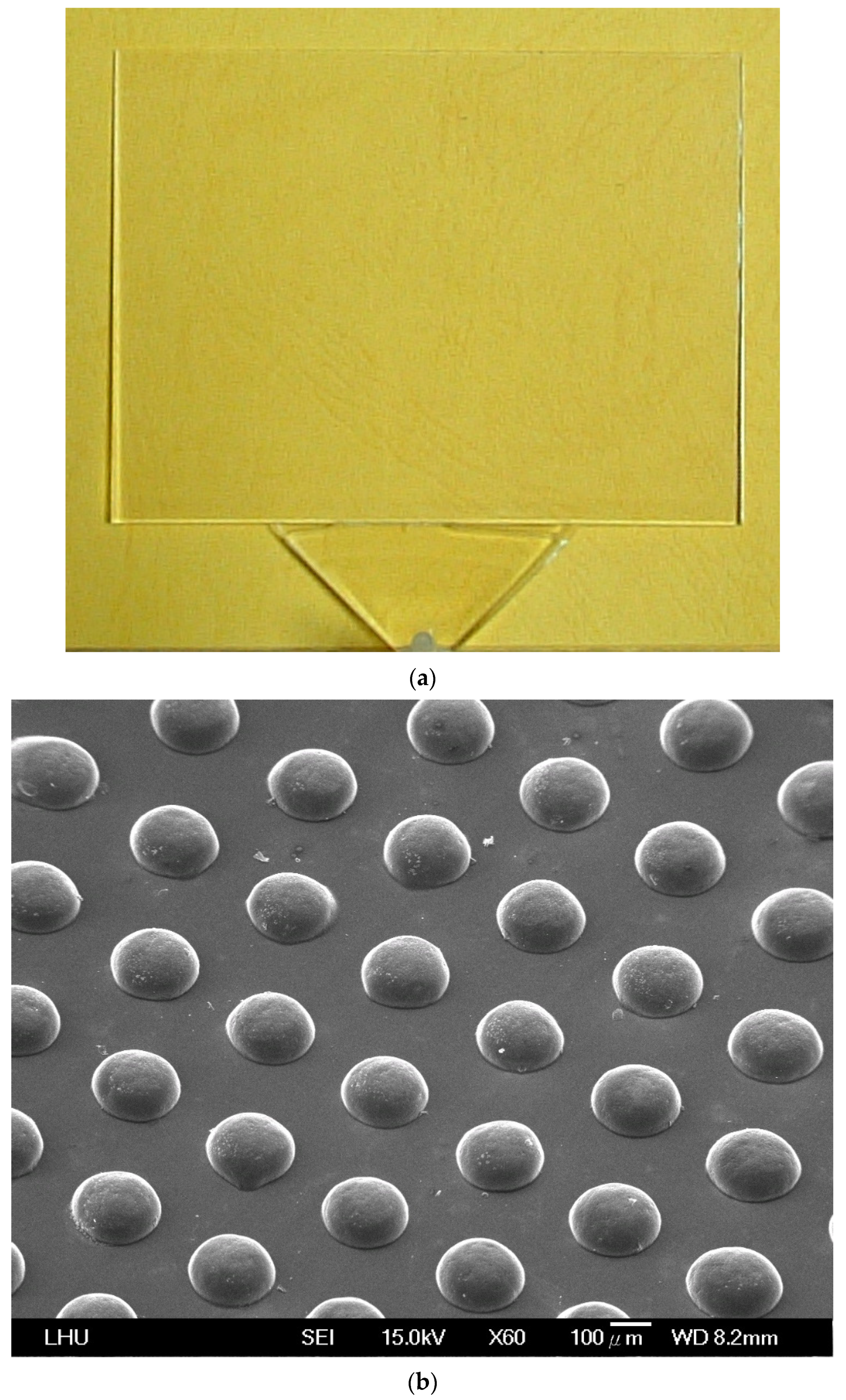 Polymers 13 04244 g010a Polymers 13 04244 g010a