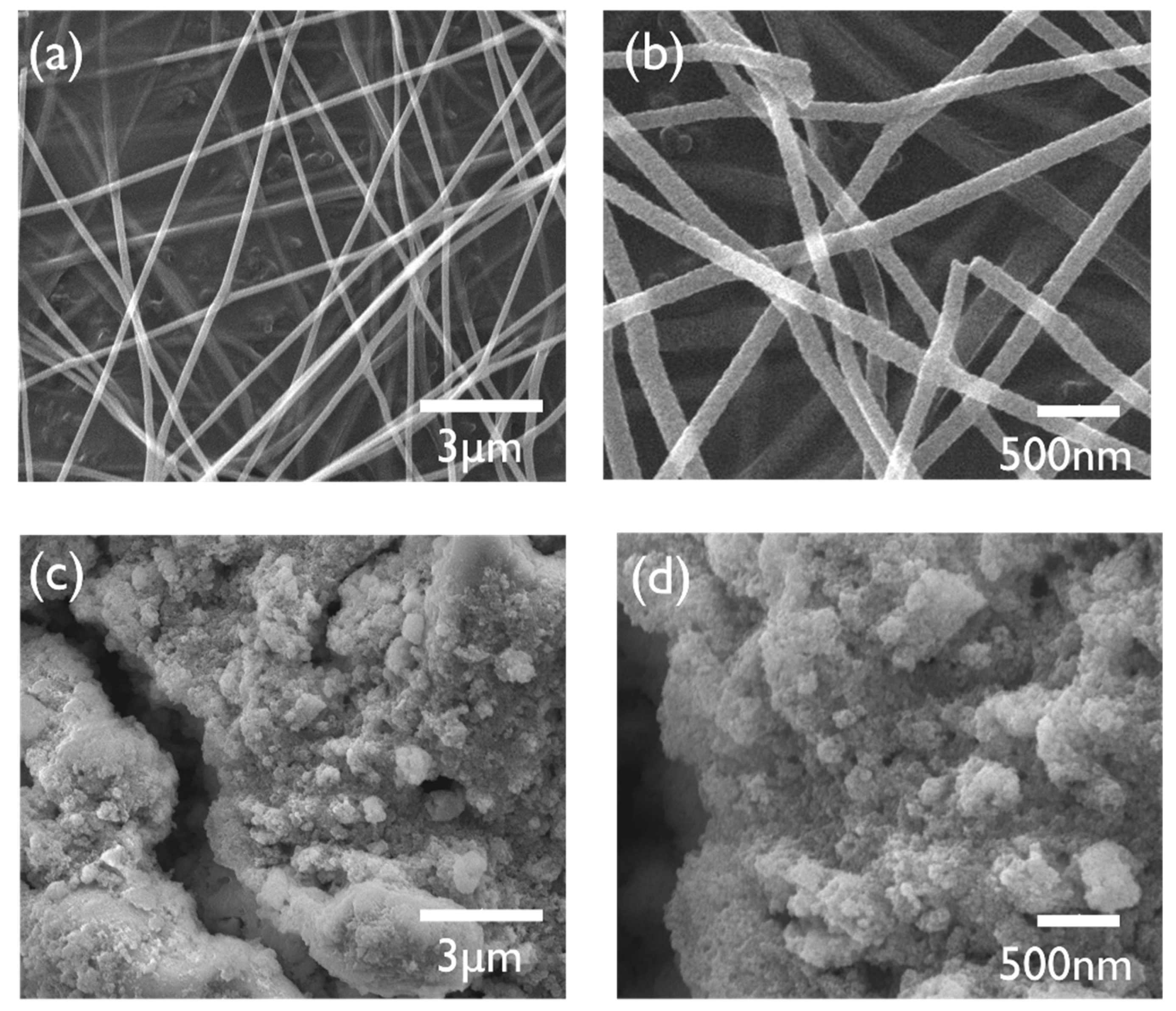 Polymers 13 04247 g004