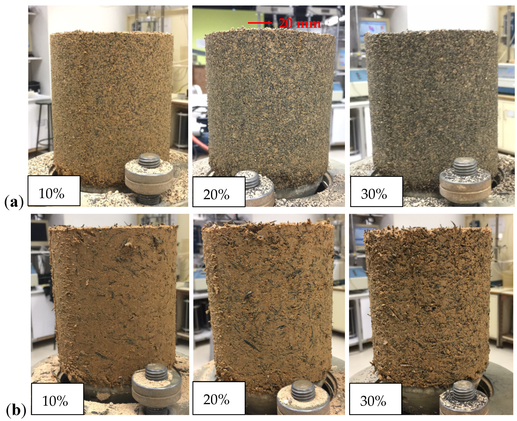 Polymers 13 04261 g004