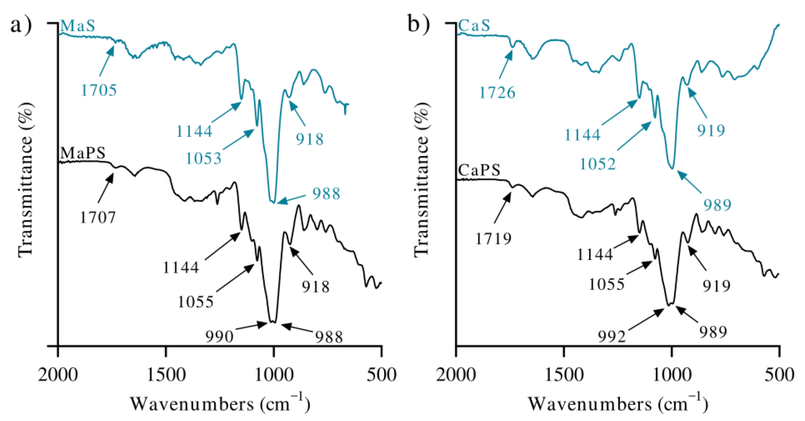 Polymers 13 04263 g001