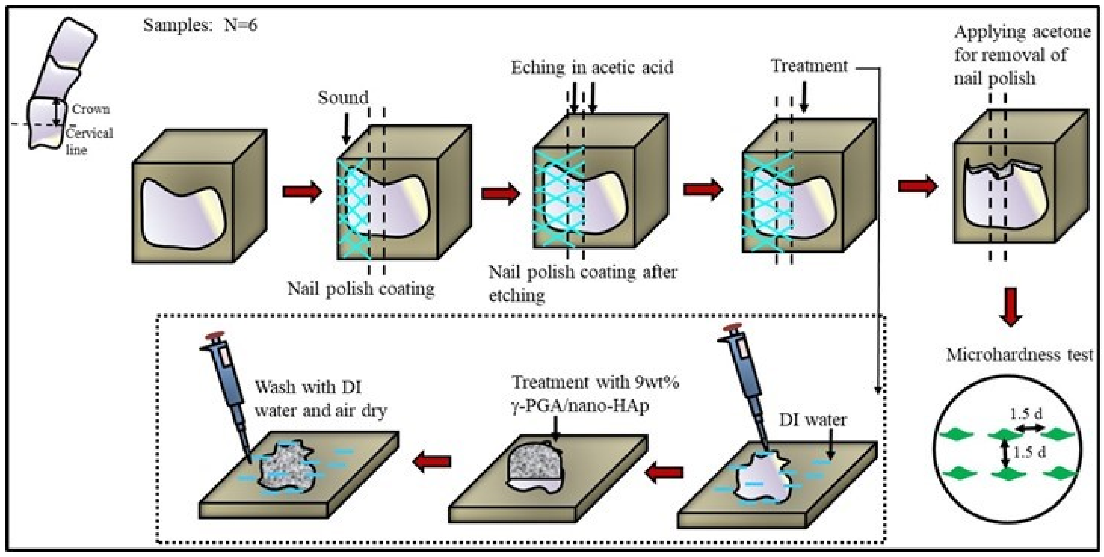 Polymers 13 04268 g001