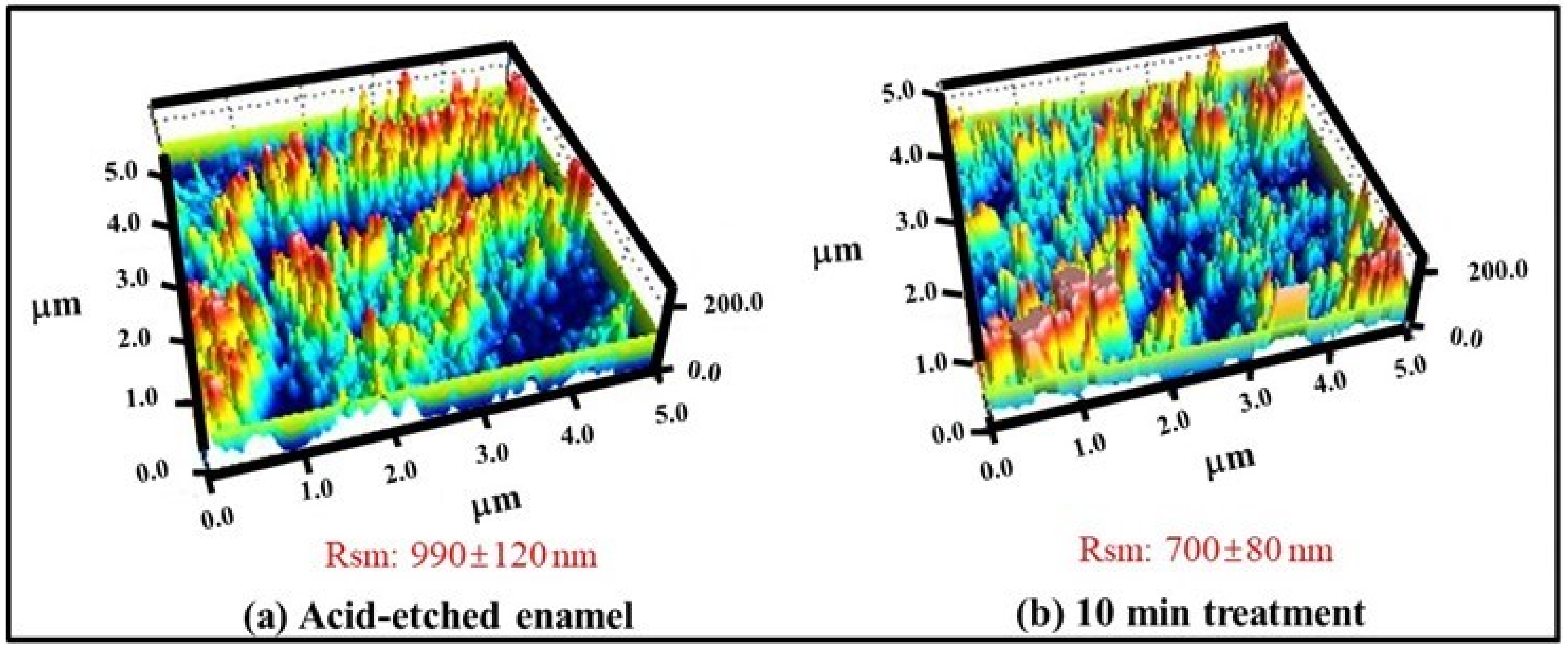 Polymers 13 04268 g002
