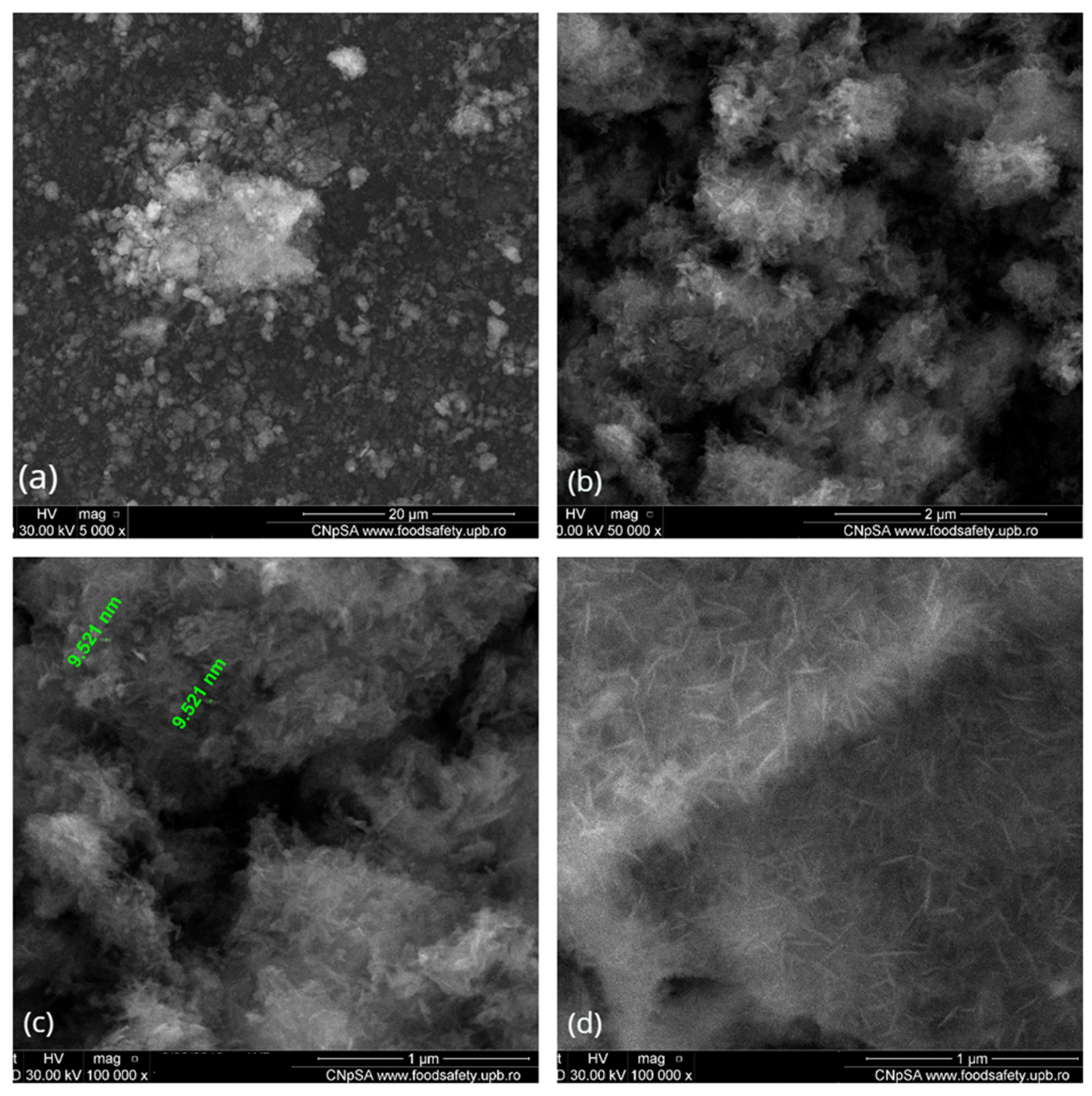 Polymers 13 04303 g002
