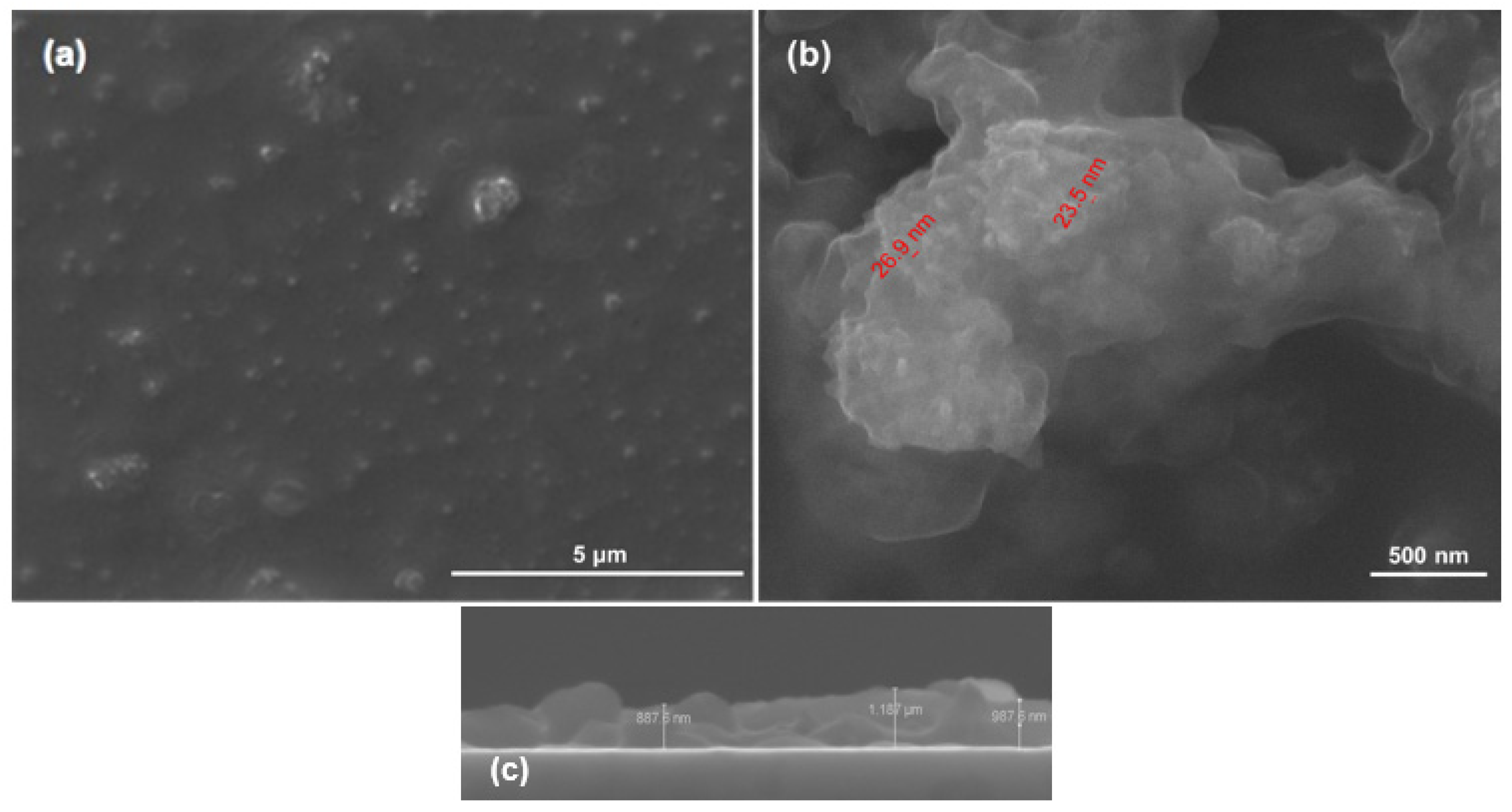 Polymers 13 04303 g005