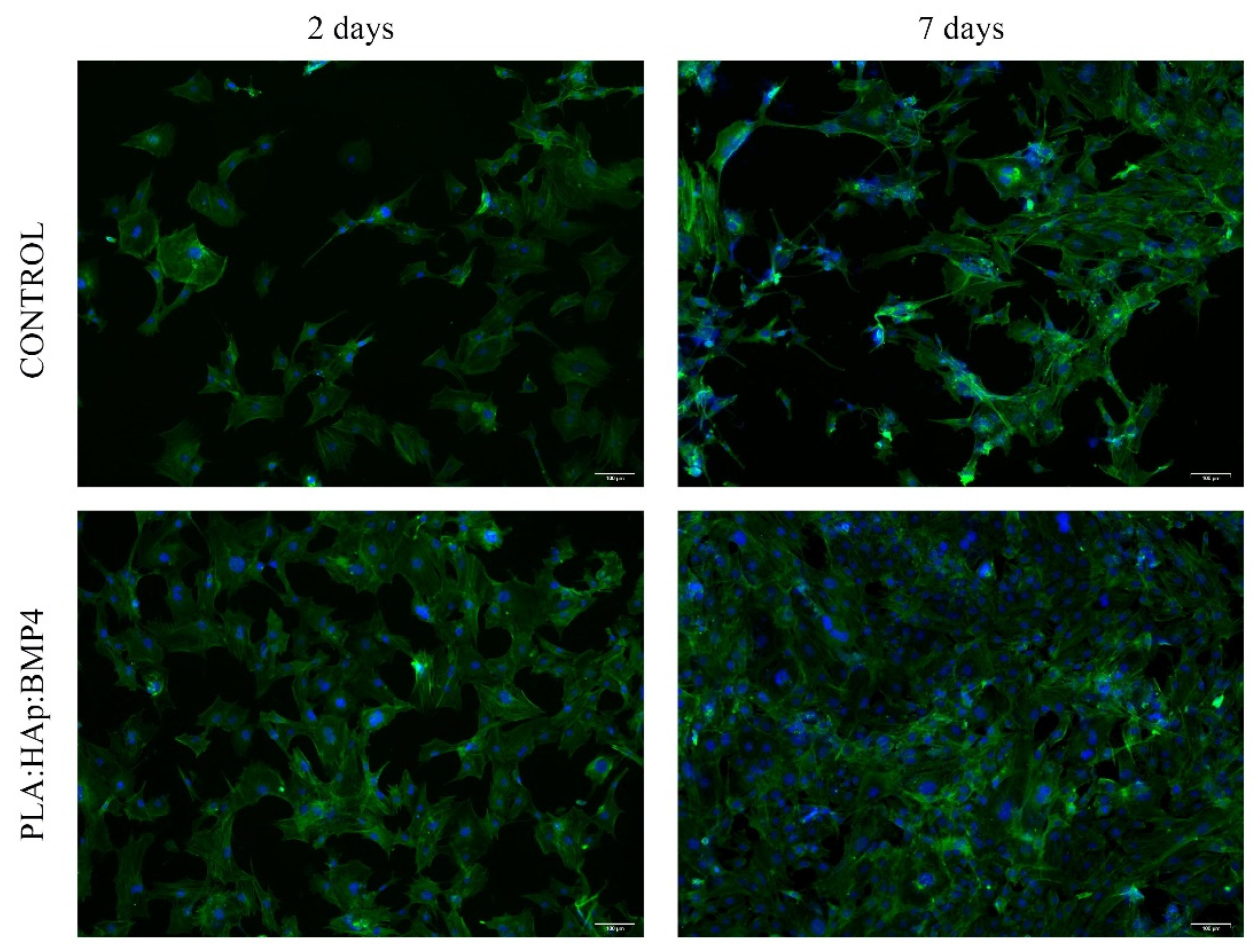 Polymers 13 04303 g009