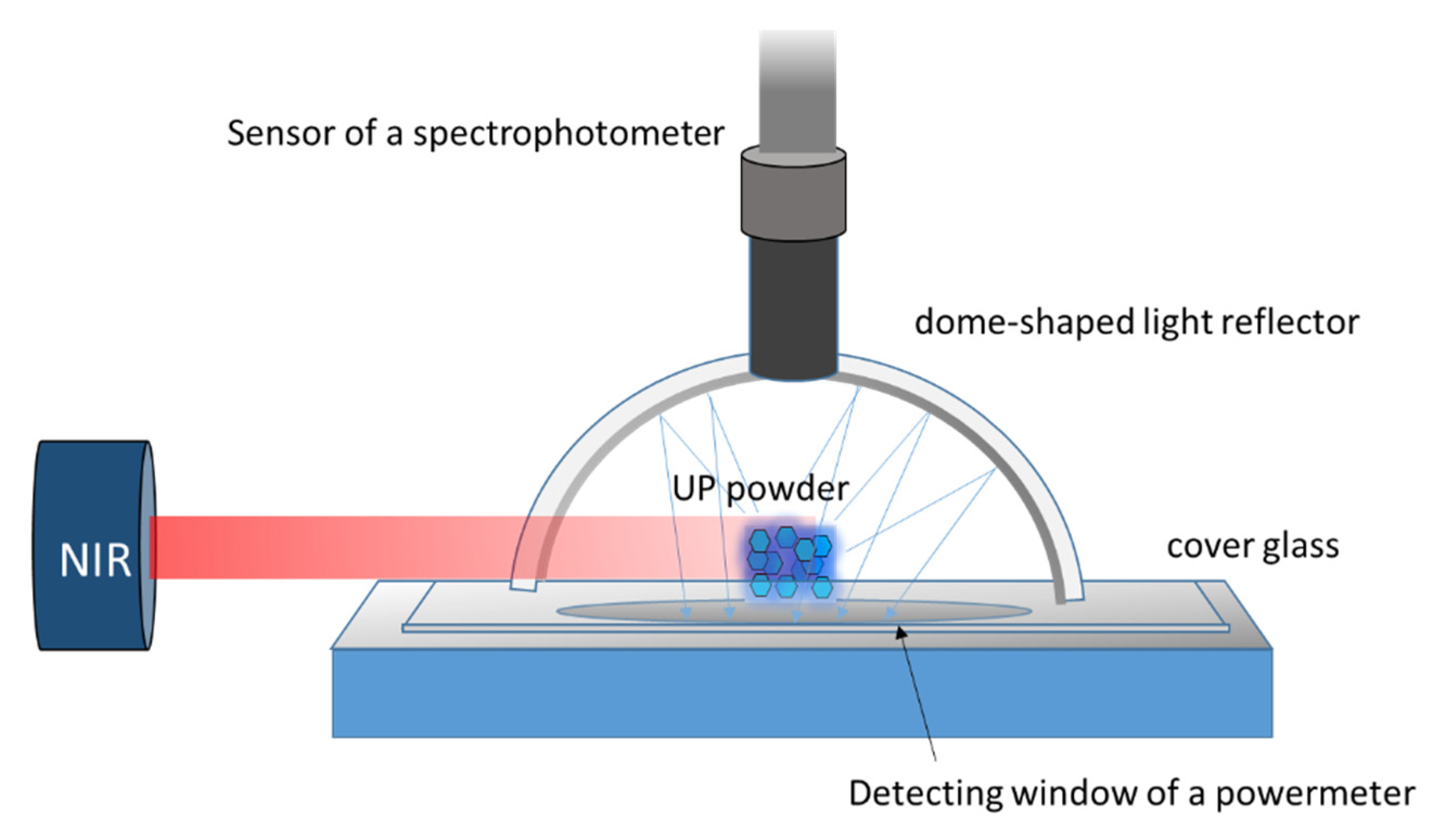 Polymers 13 04304 g001