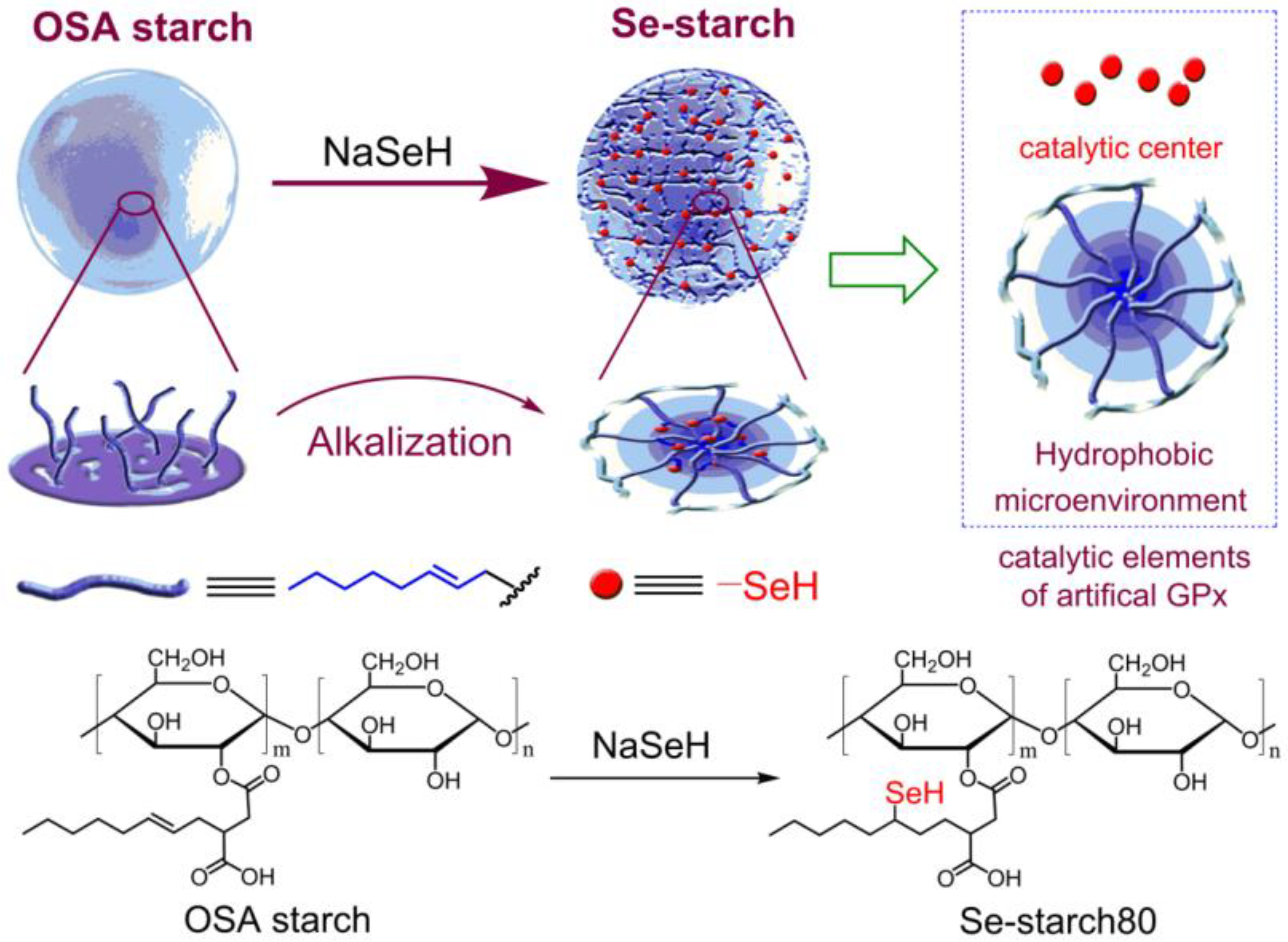 Polymers 13 04309 sch001
