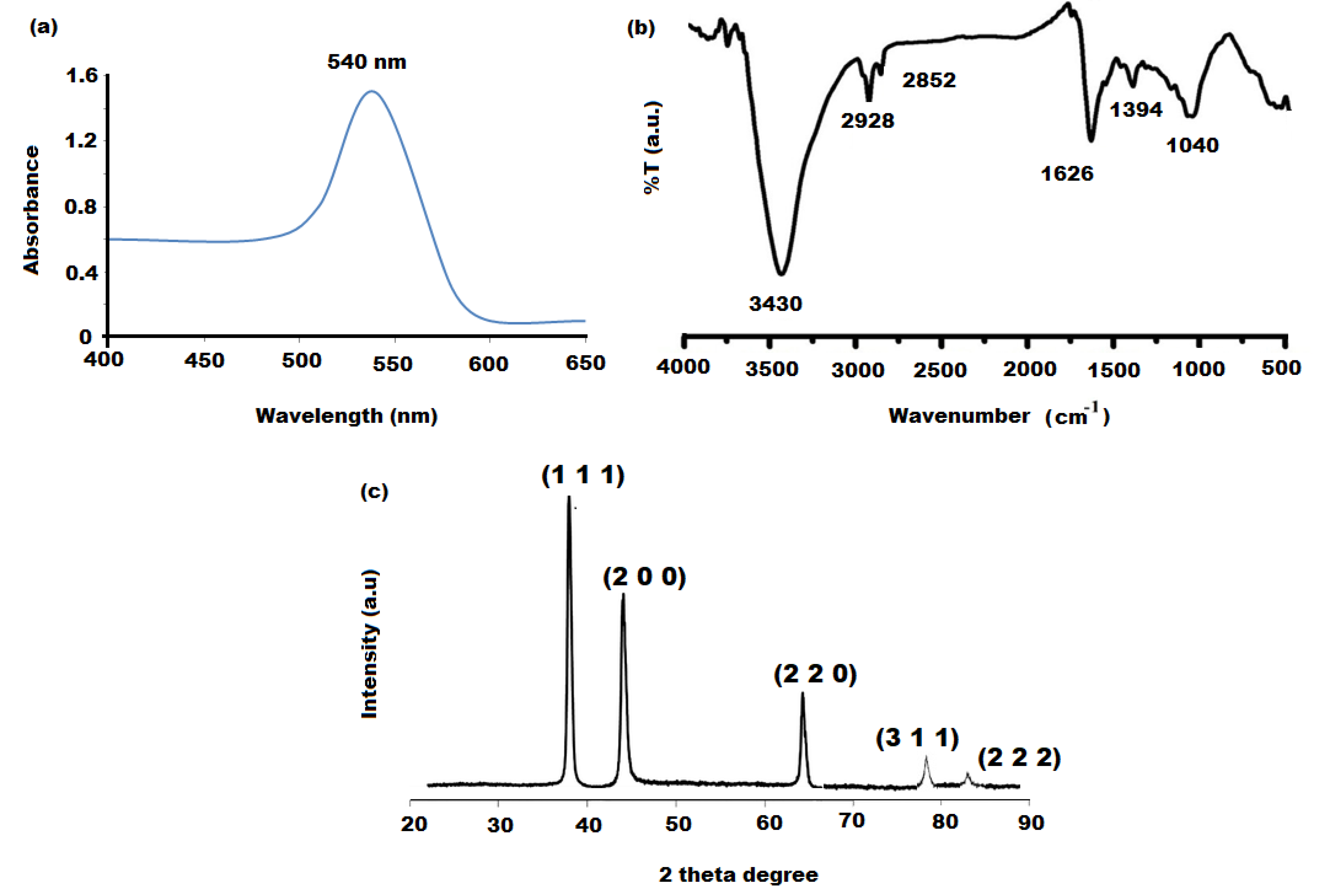 Polymers 13 04321 g003