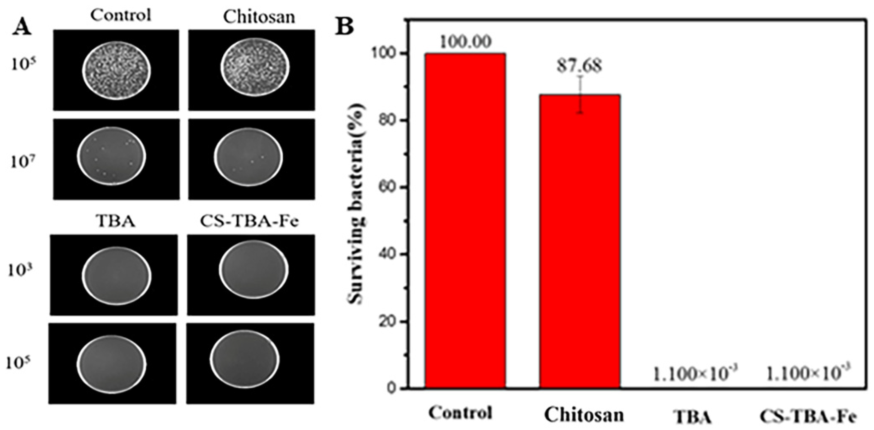 Polymers 13 04322 g008