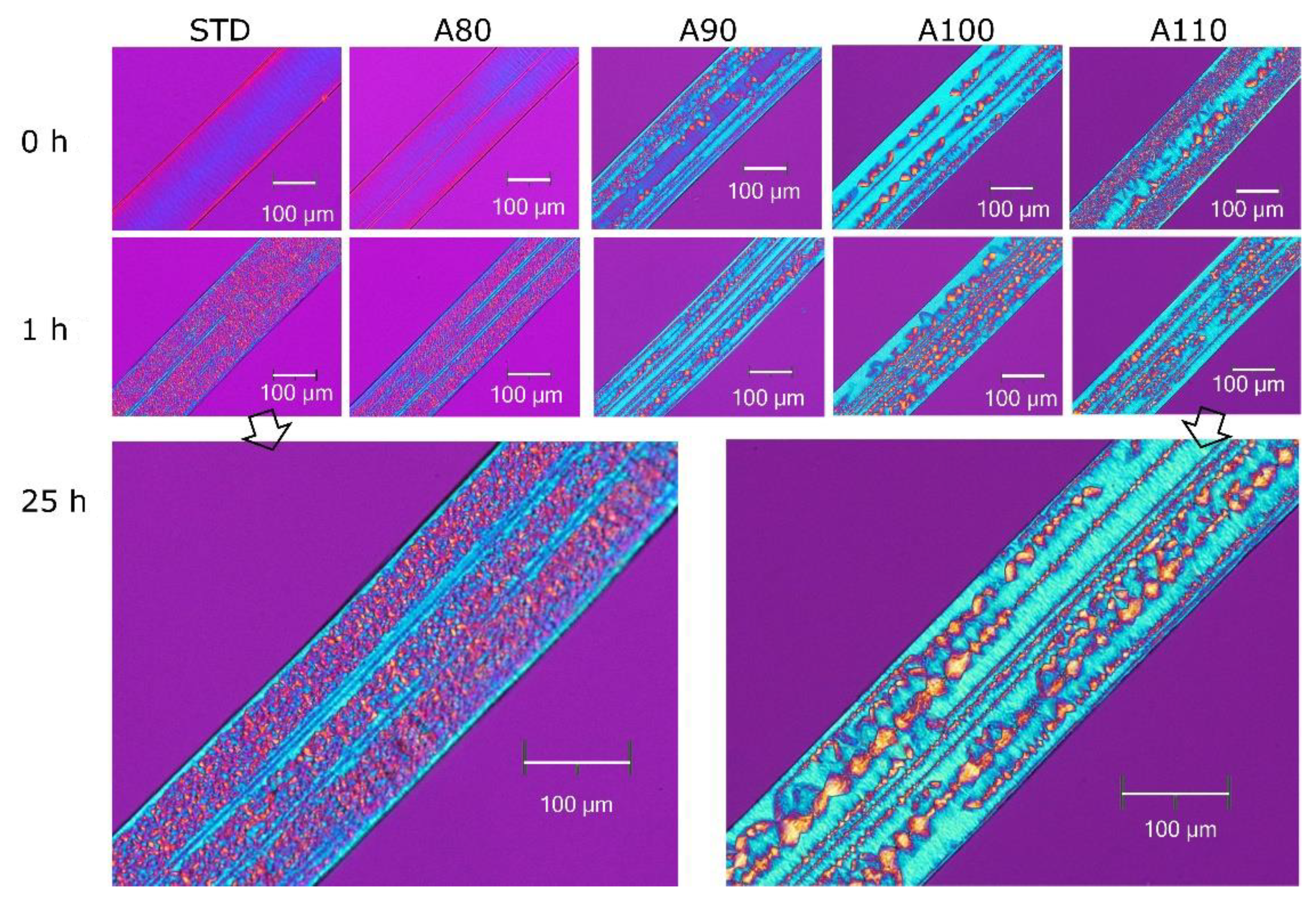 Polymers 13 04324 g004