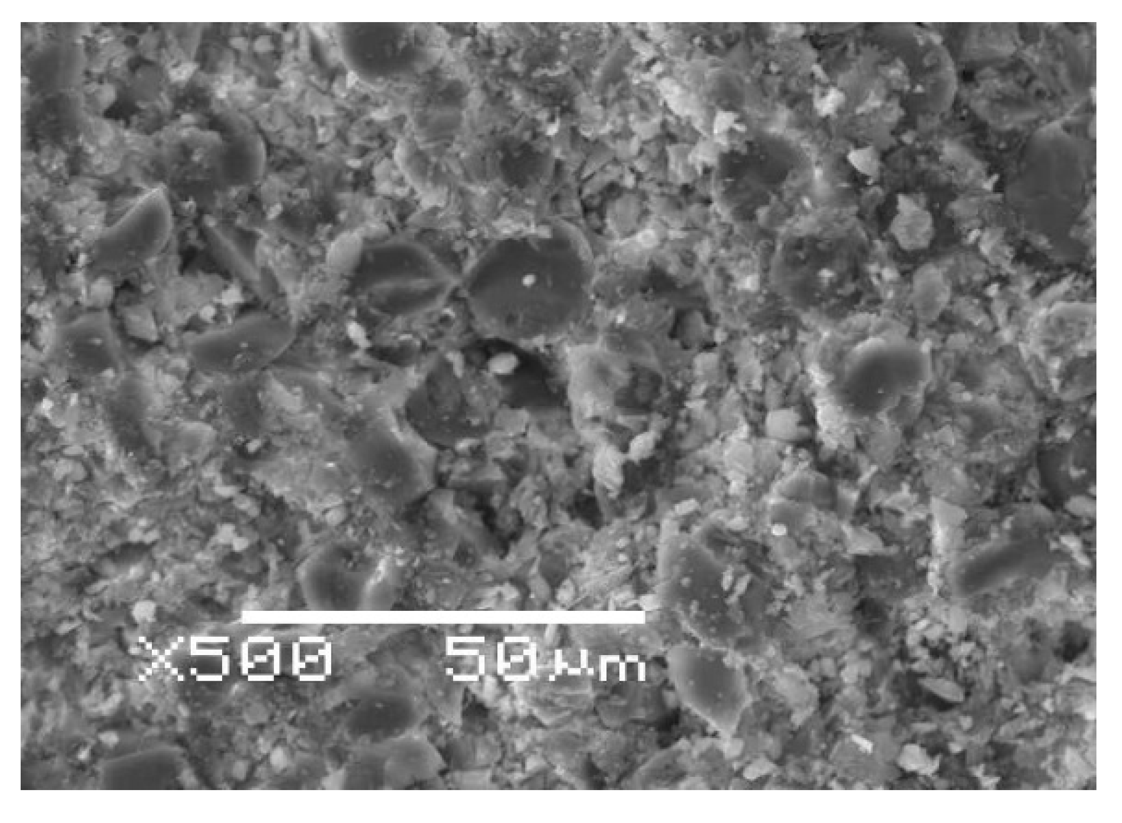 Polymers 13 04325 g007