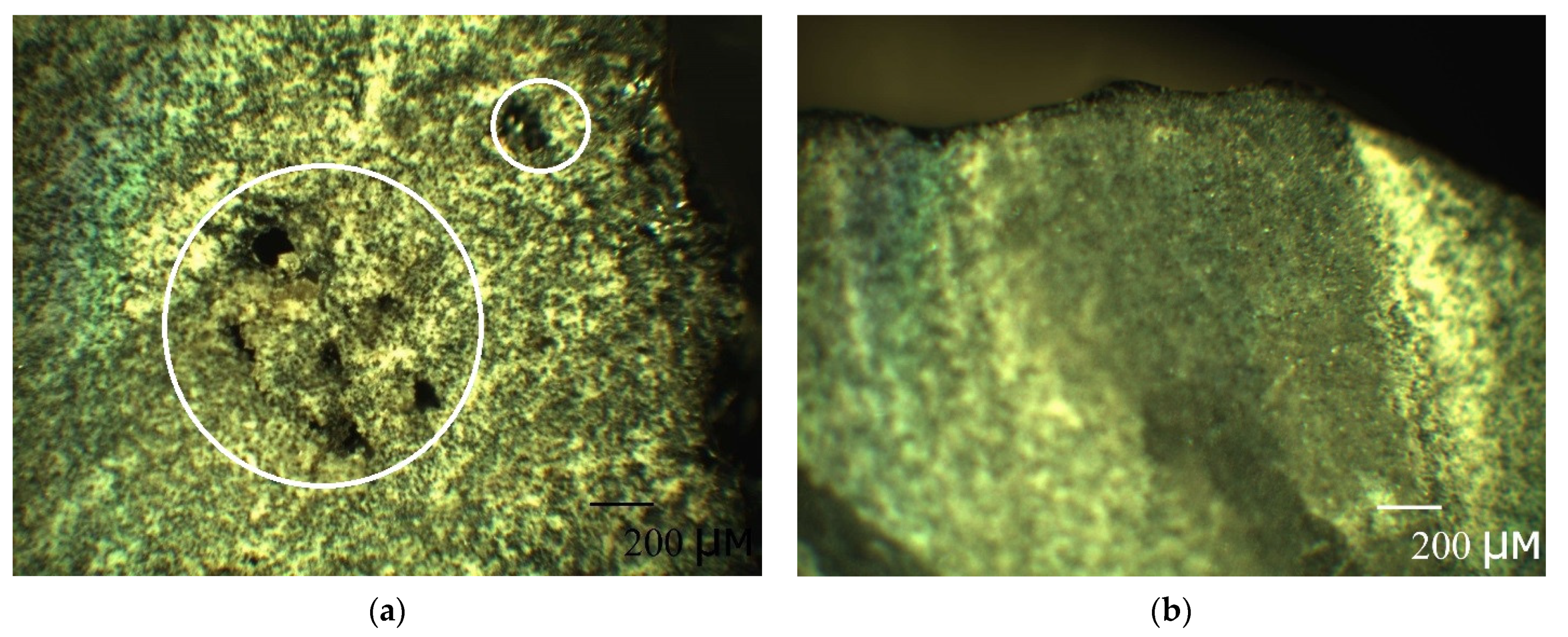 Polymers 13 04325 g008