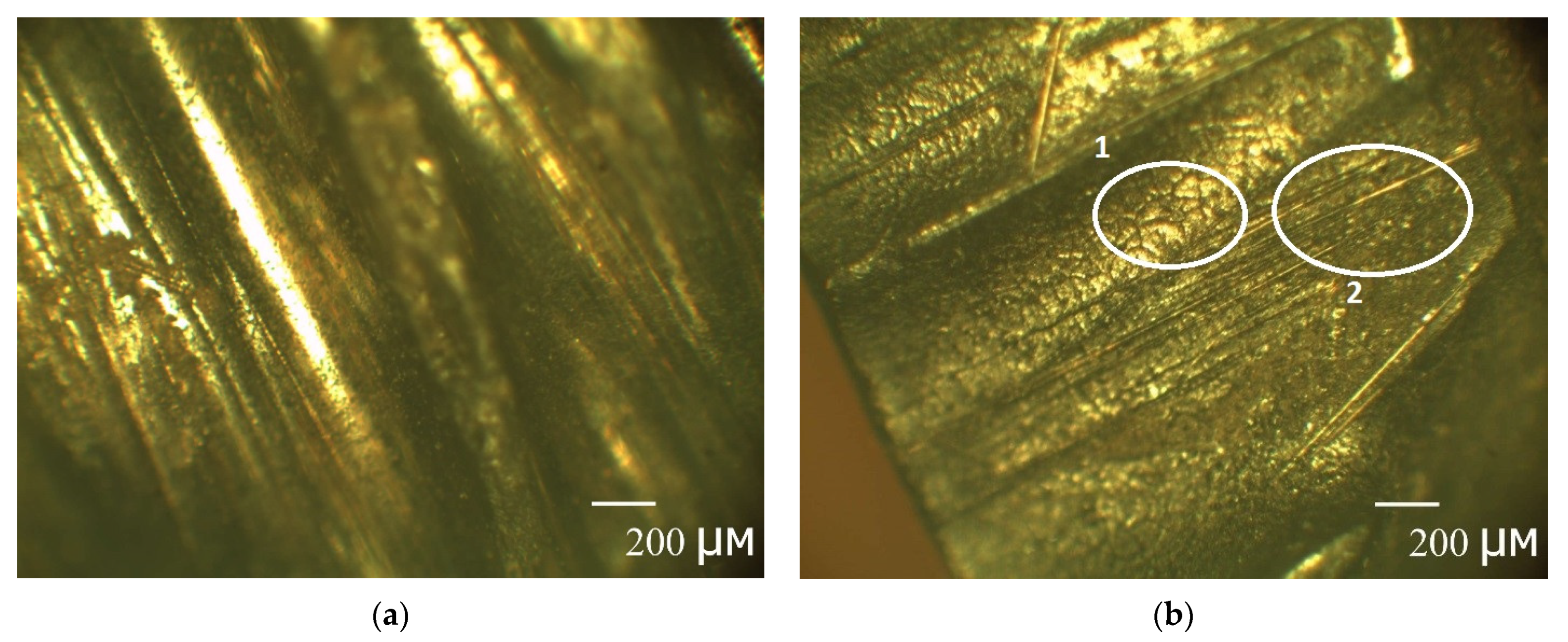 Polymers 13 04325 g009