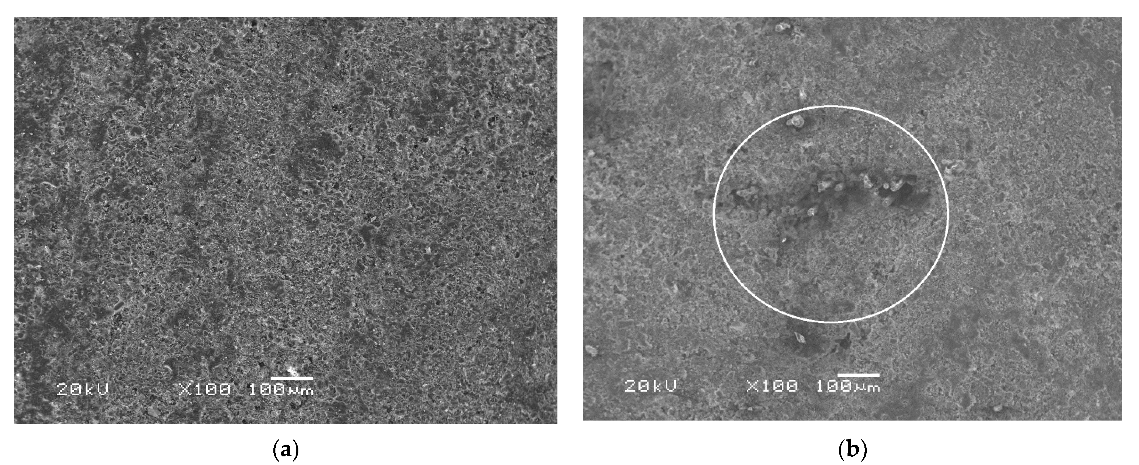 Polymers 13 04325 g010