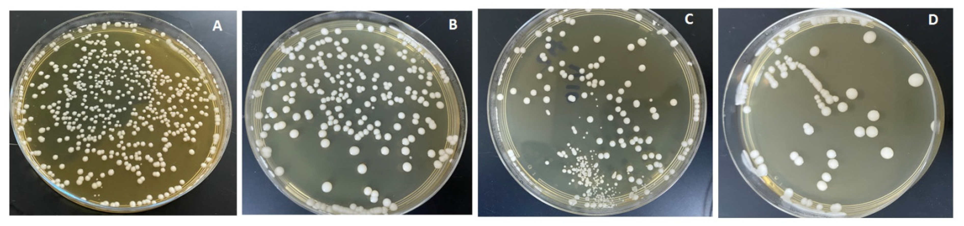 Polymers 13 04331 g007 Polymers 13 04331 g007