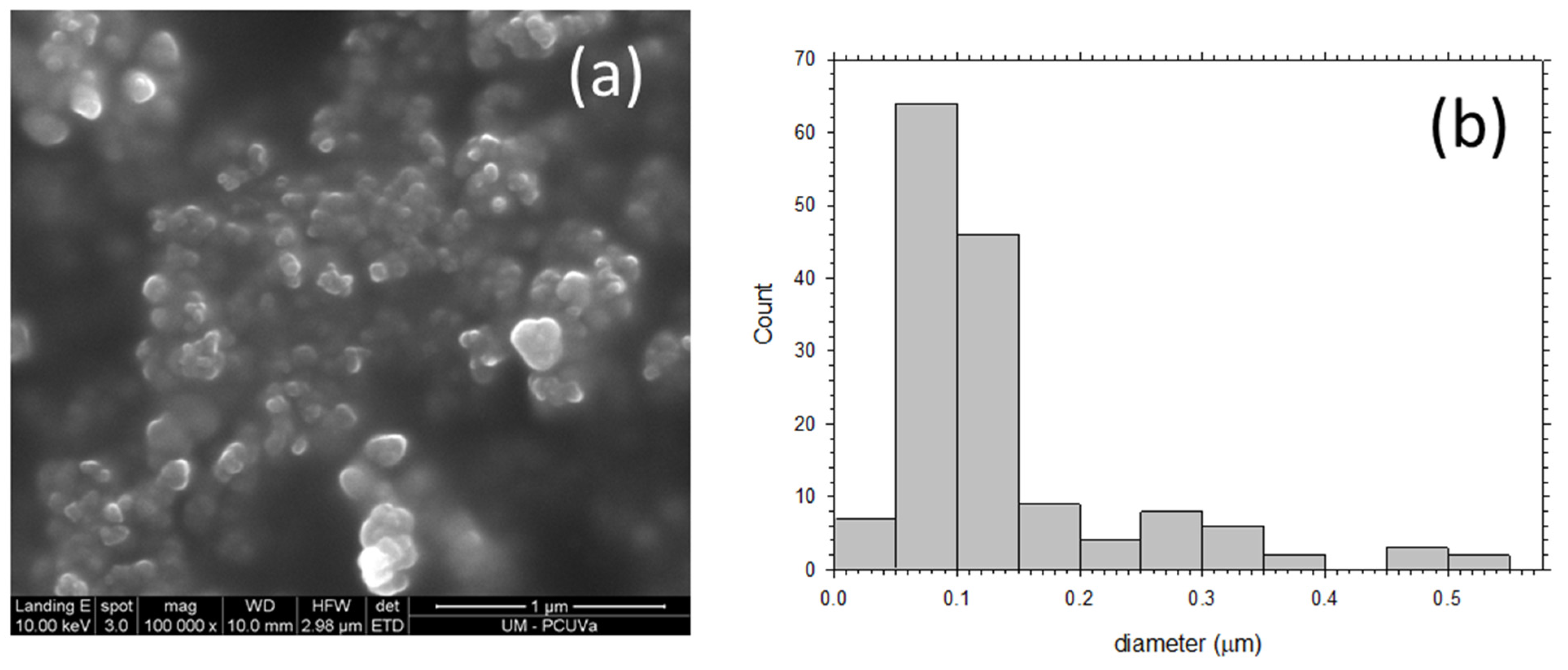 Polymers 13 04343 g003