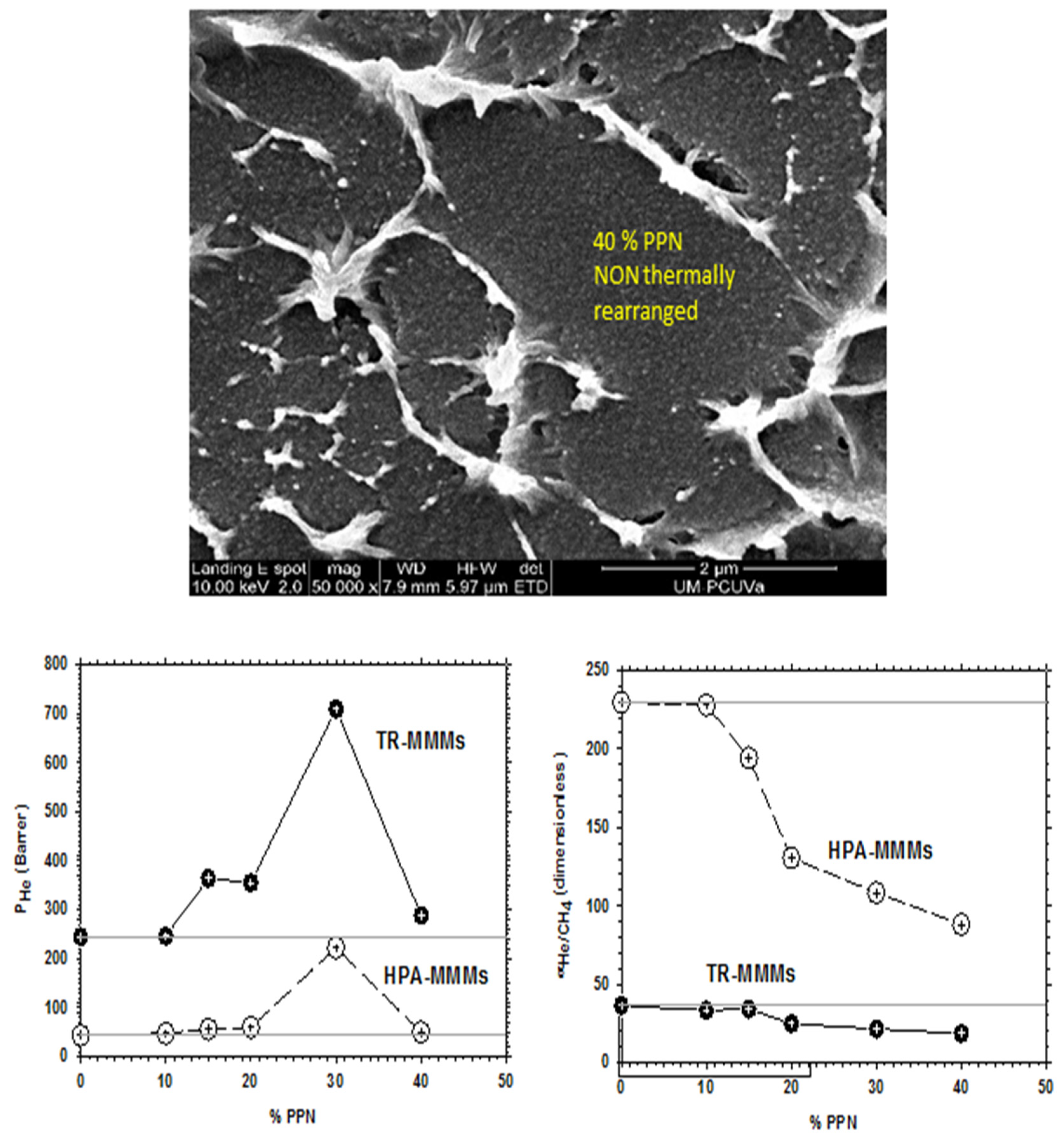Polymers 13 04343 g005
