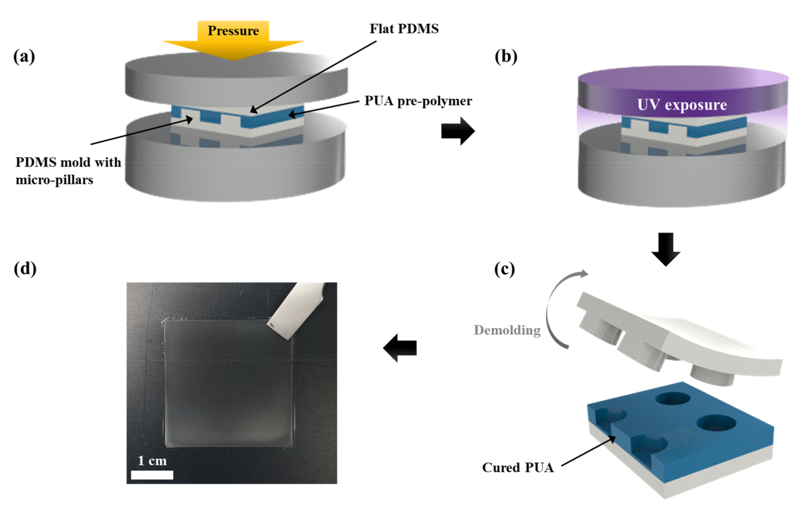 Polymers 13 04361 g001