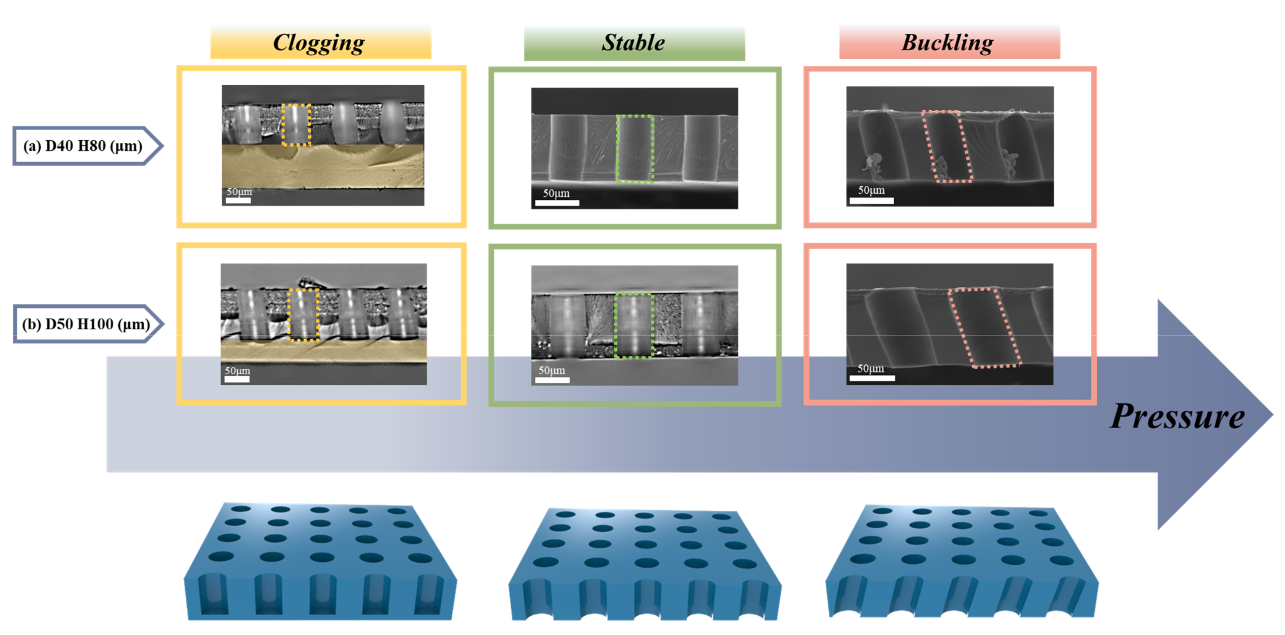 Polymers 13 04361 g003