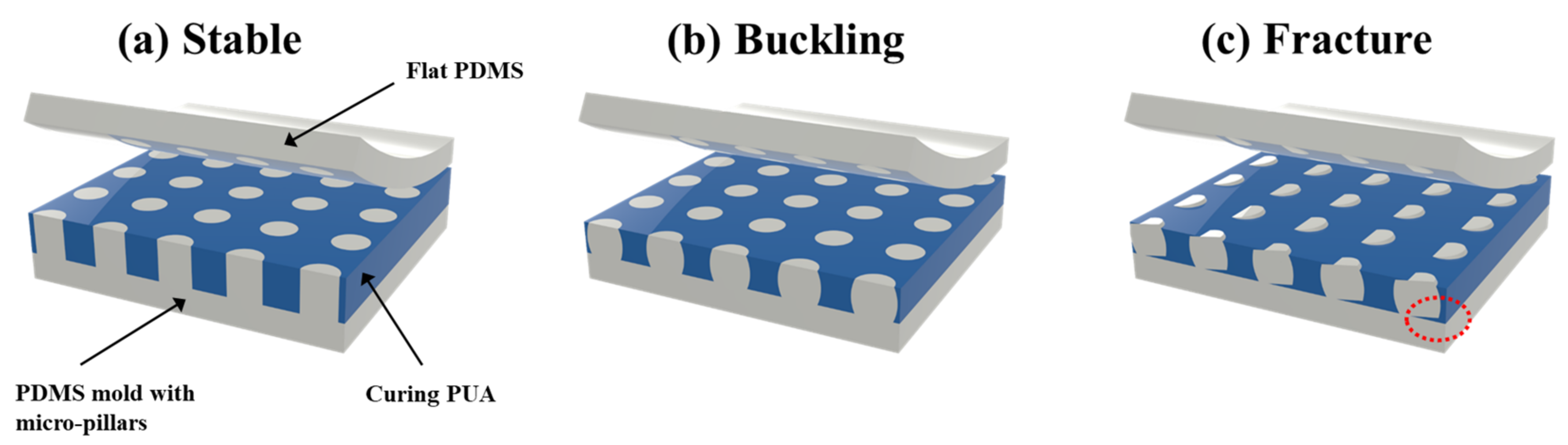Polymers 13 04361 g008