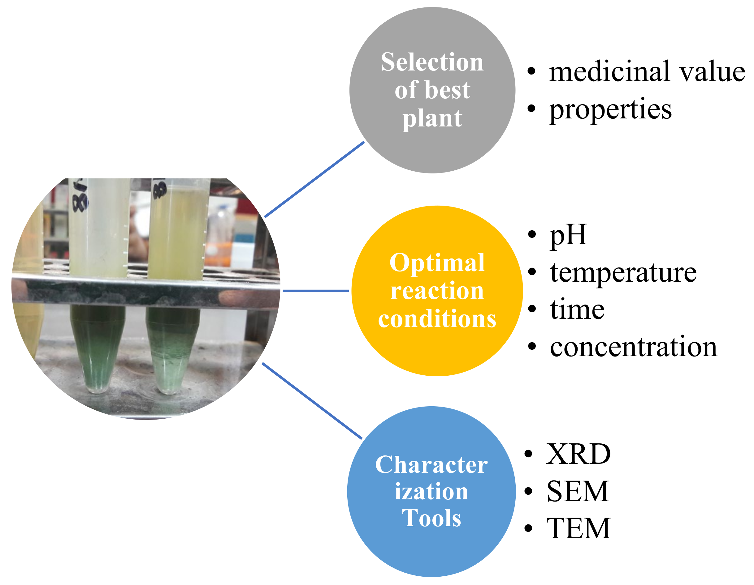 Polymers 13 04364 g001