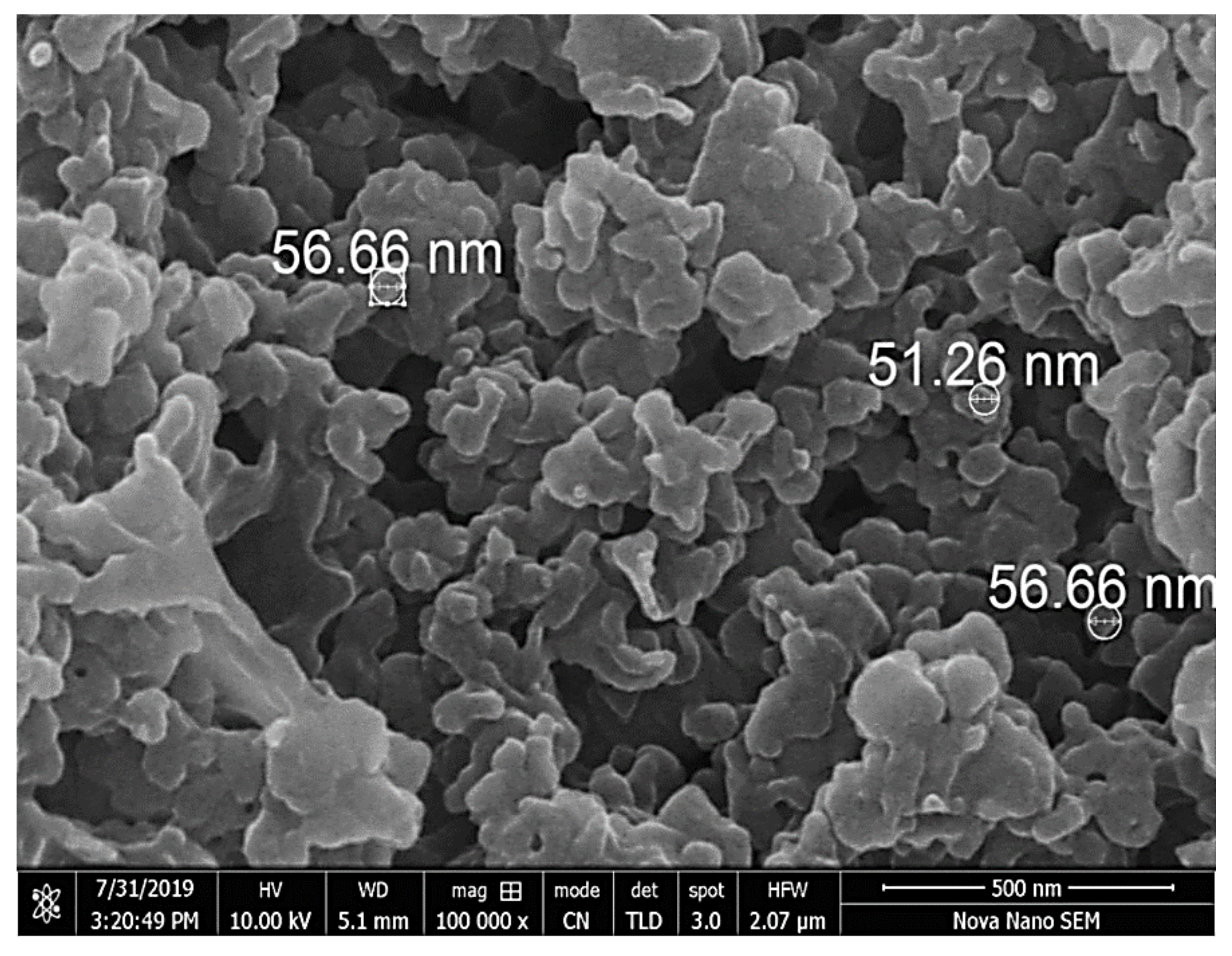 Polymers 13 04364 g005