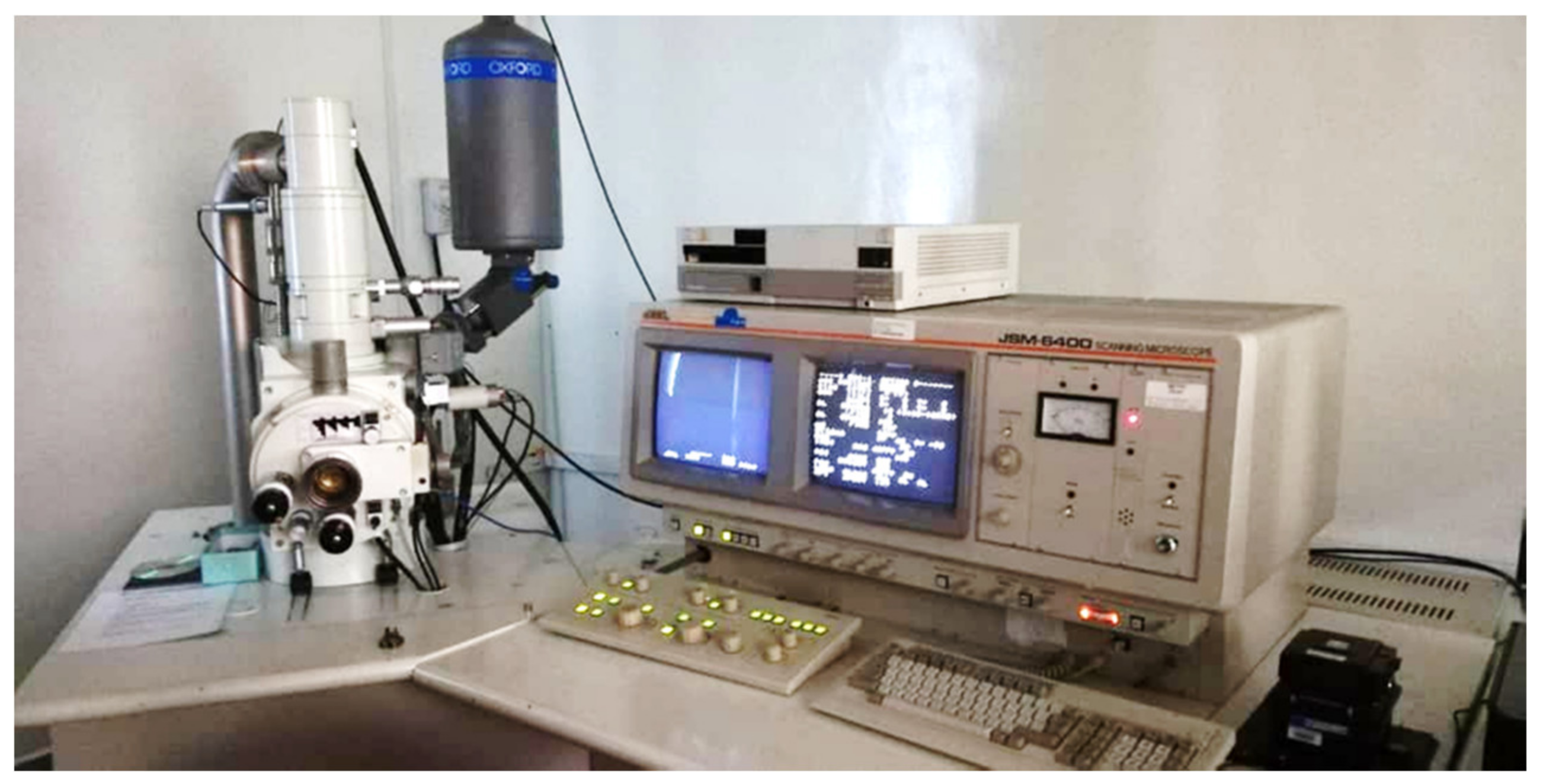 Polymers 13 04373 g004