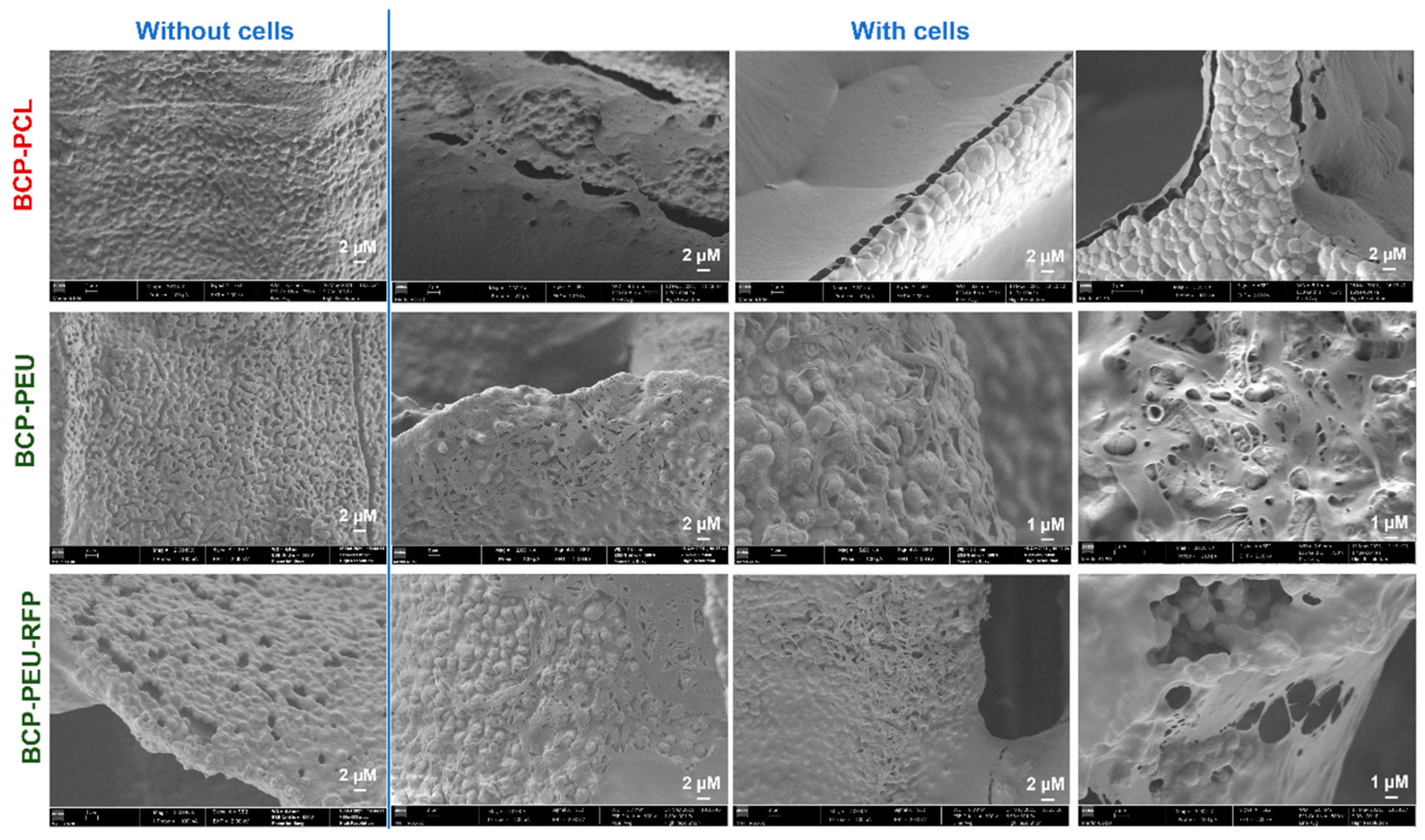 Polymers 13 04378 g008