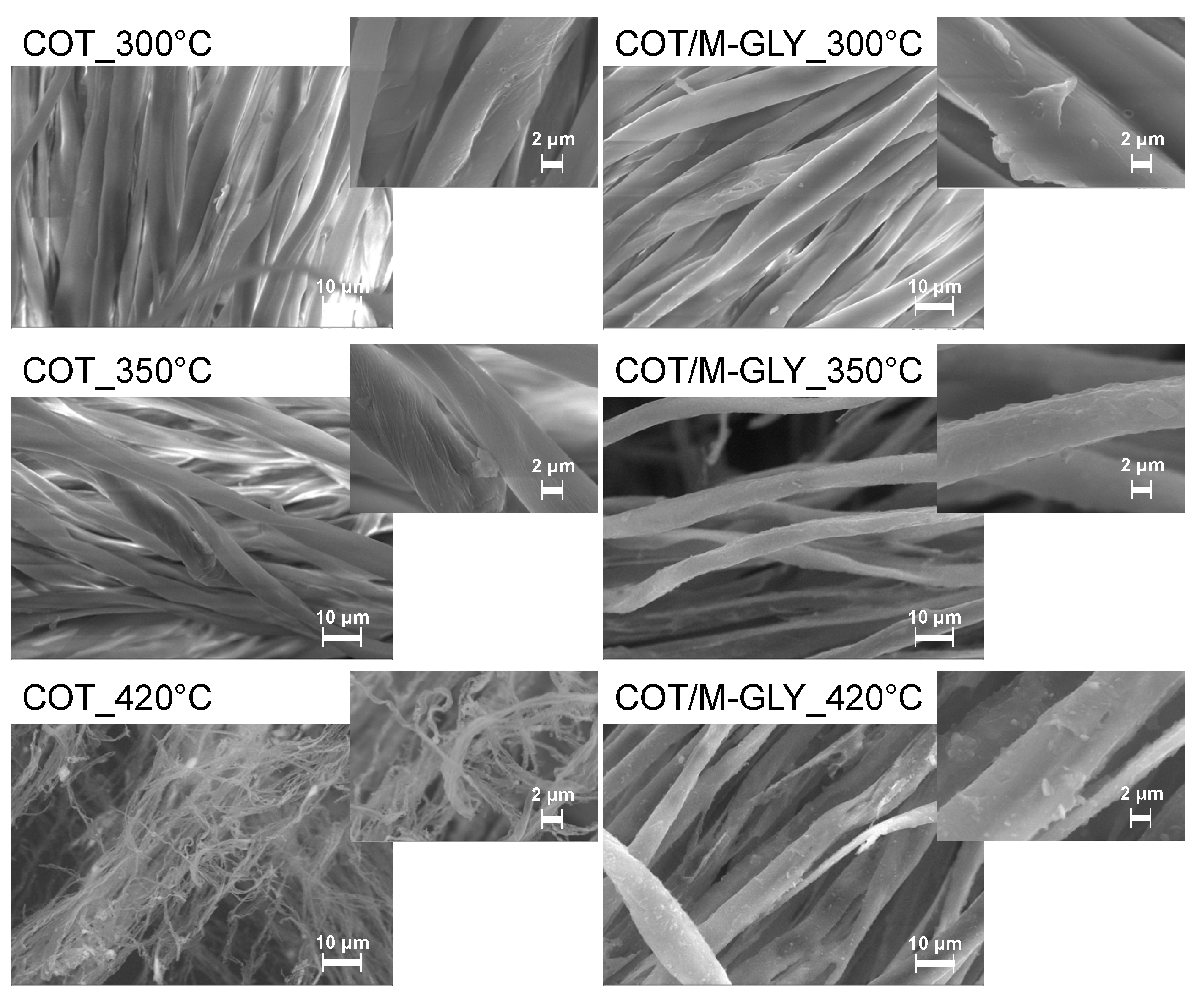 Polymers 13 04382 g004