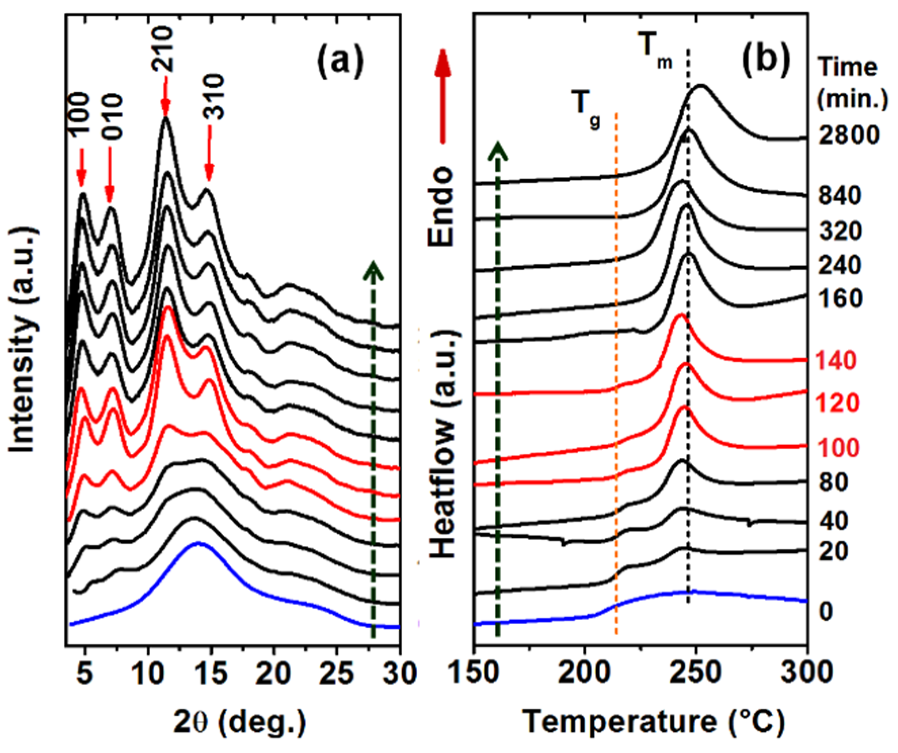 Polymers 13 04384 g006