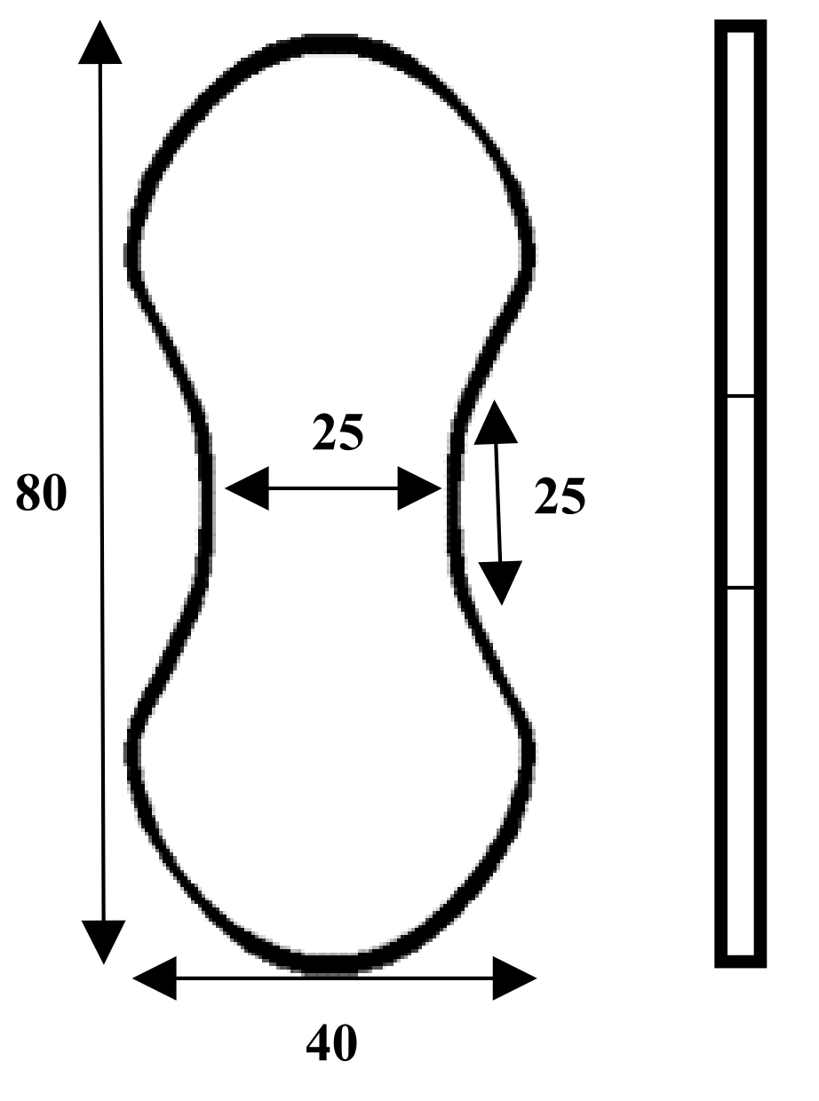 Polymers 13 04385 g004