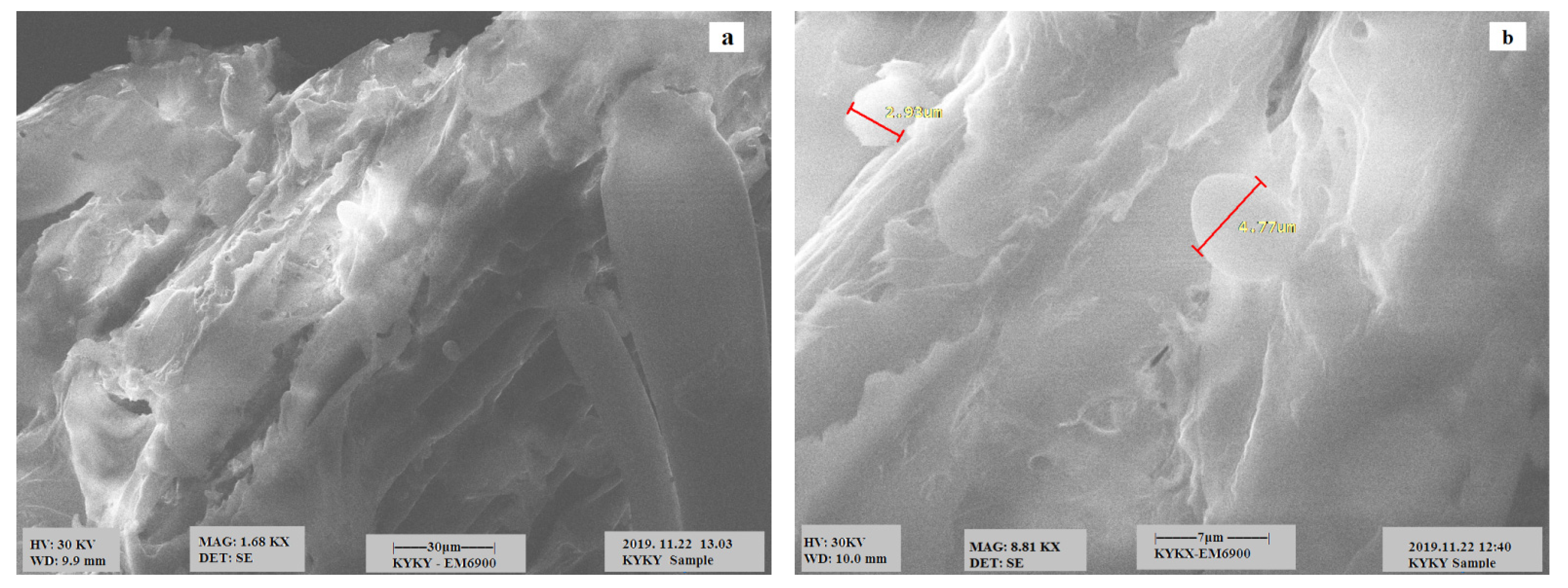 Polymers 13 04464 g001