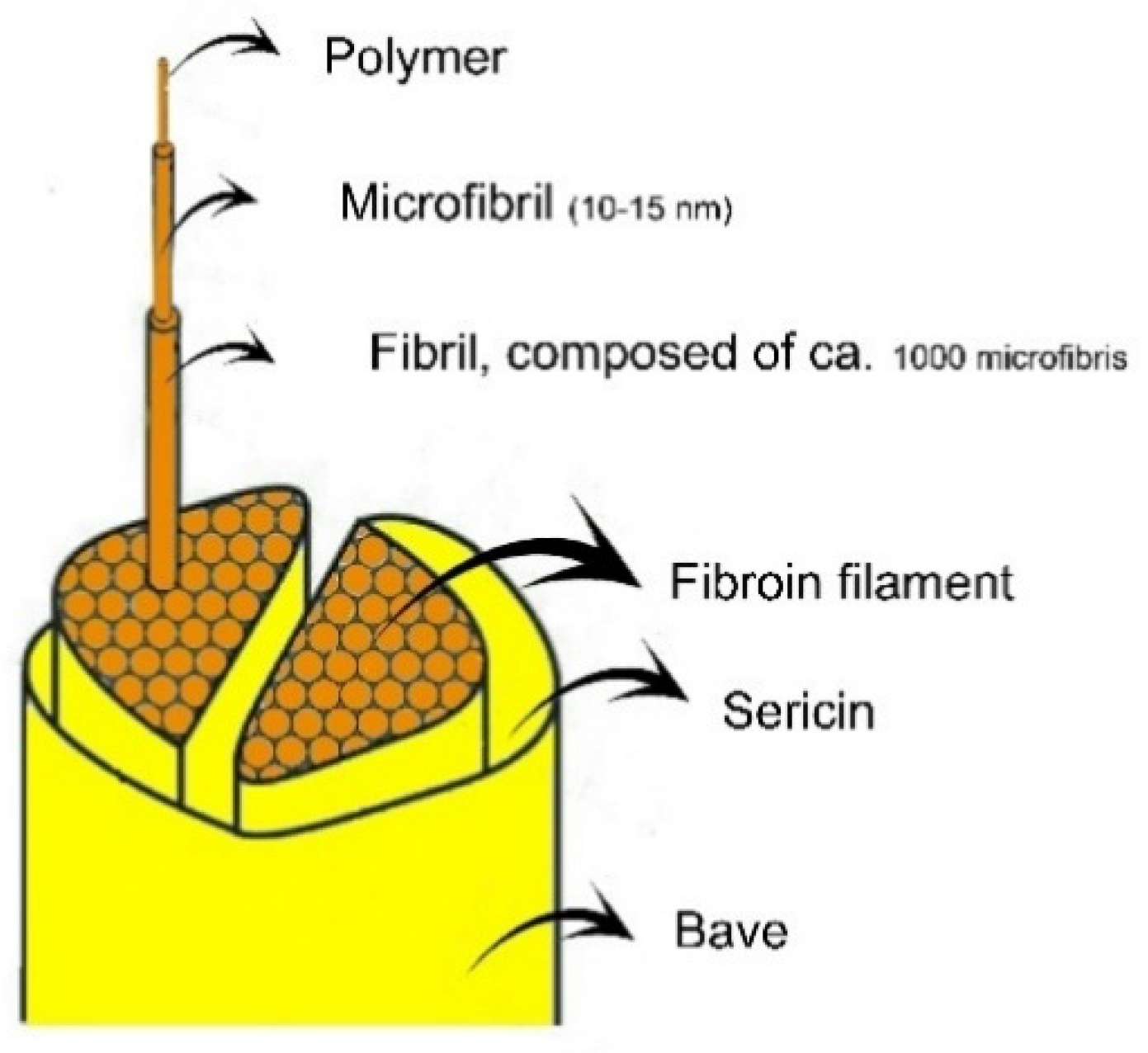 Polymers 14 00013 g001