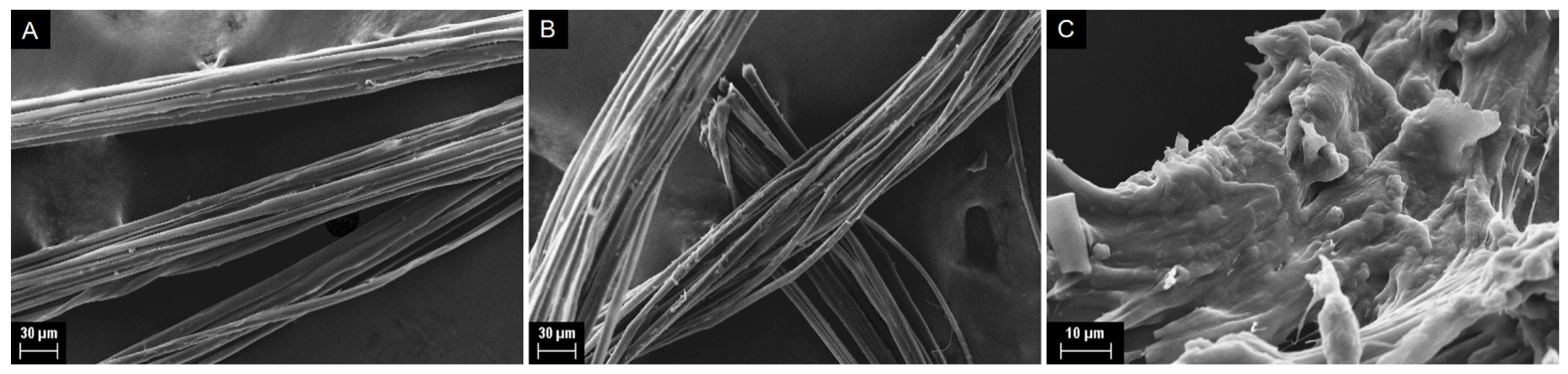 Polymers 14 00013 g005